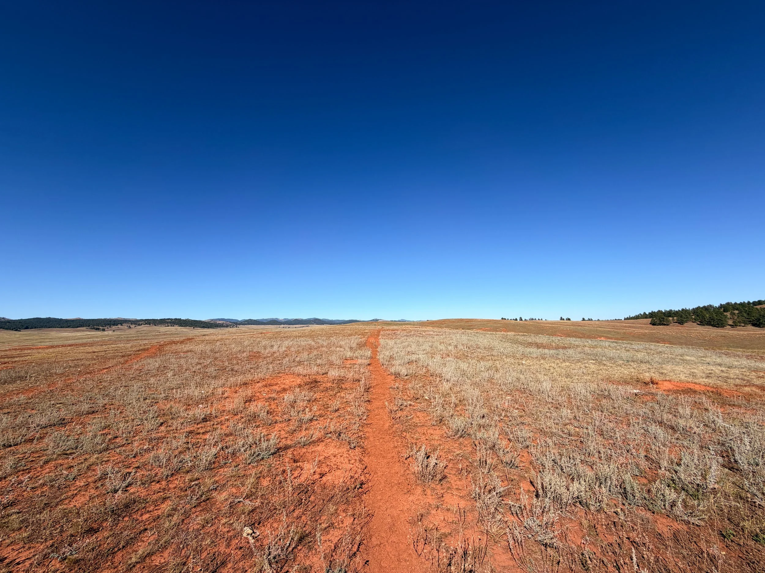 East Bison Flats to Wind Cave Canyon Trail Wind Cave National Park South Dakota