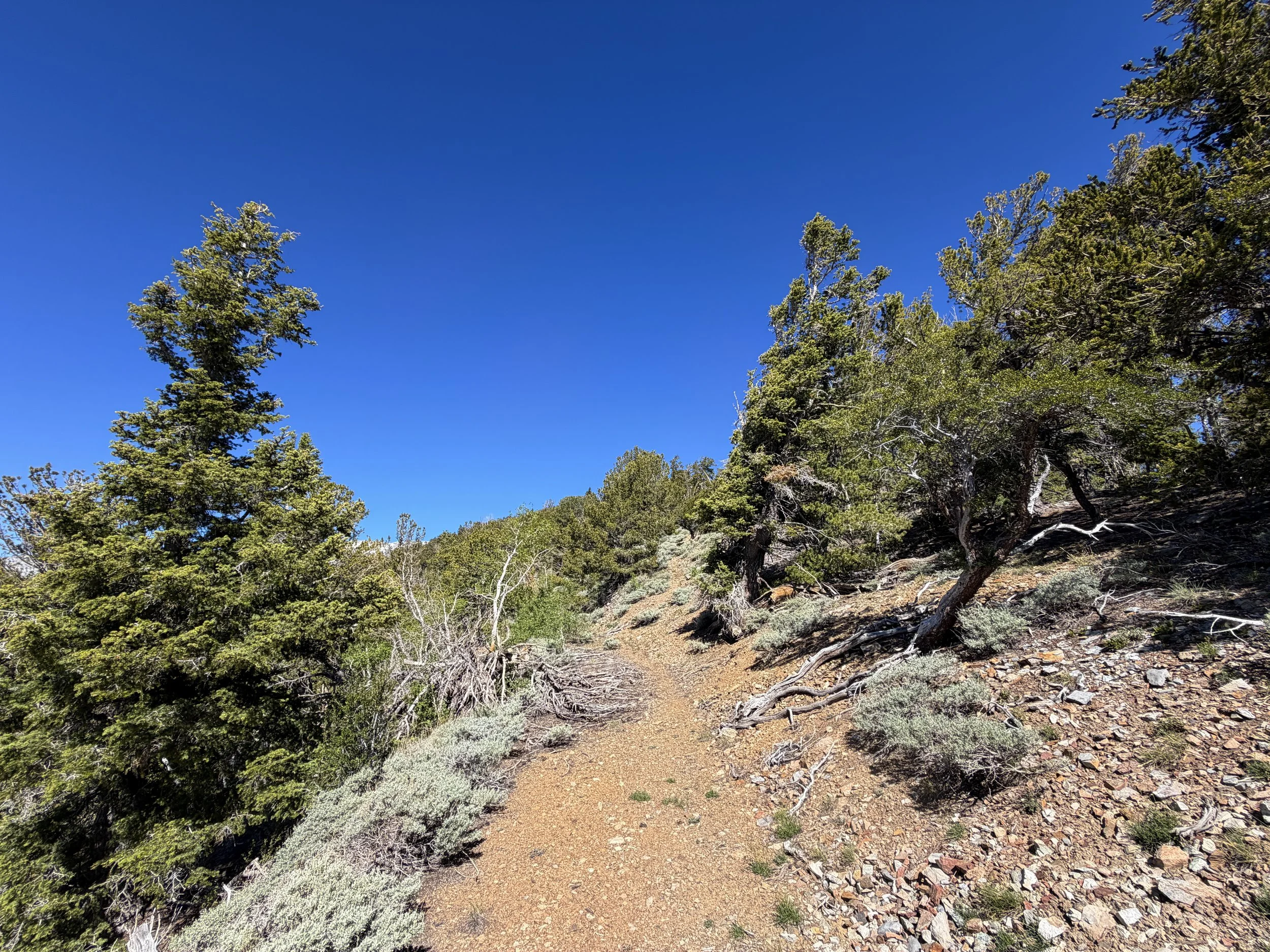 Snake Divide Hike Great Basin National Park Nevada