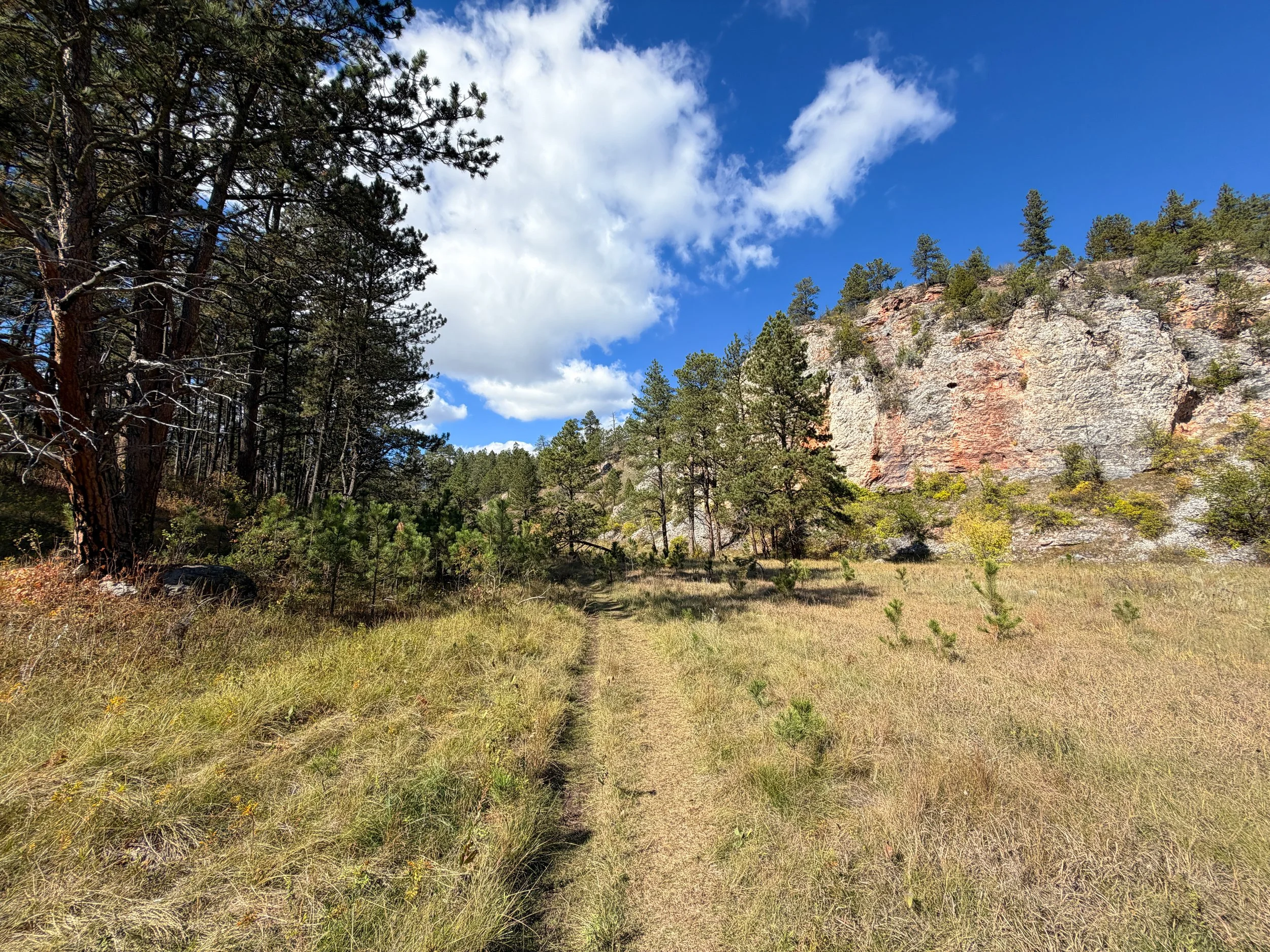 Lookout Point Loop Trail Wind Cave National Park South Dakota