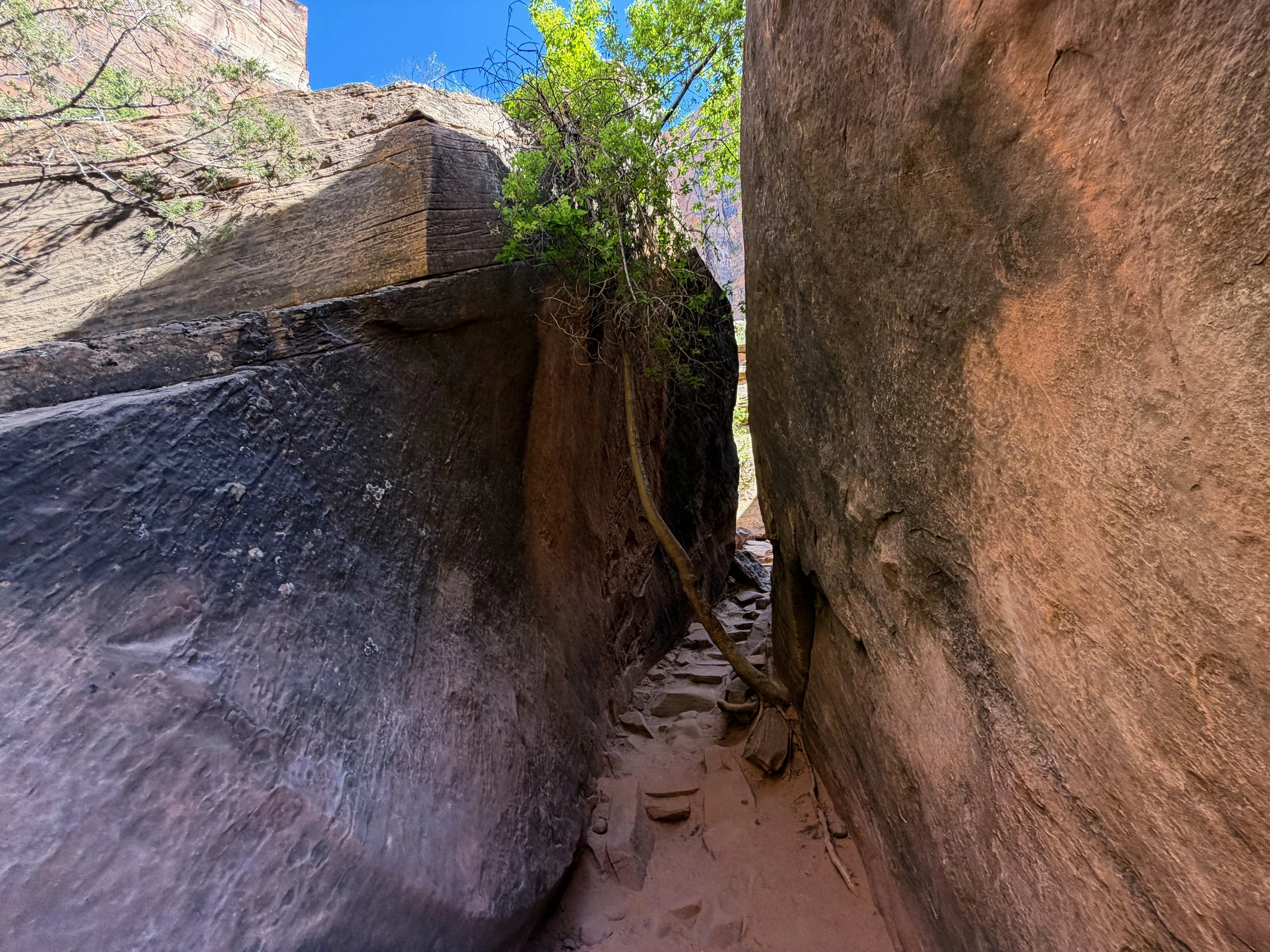 Emerald Pools Trail Zion National Park Utah
