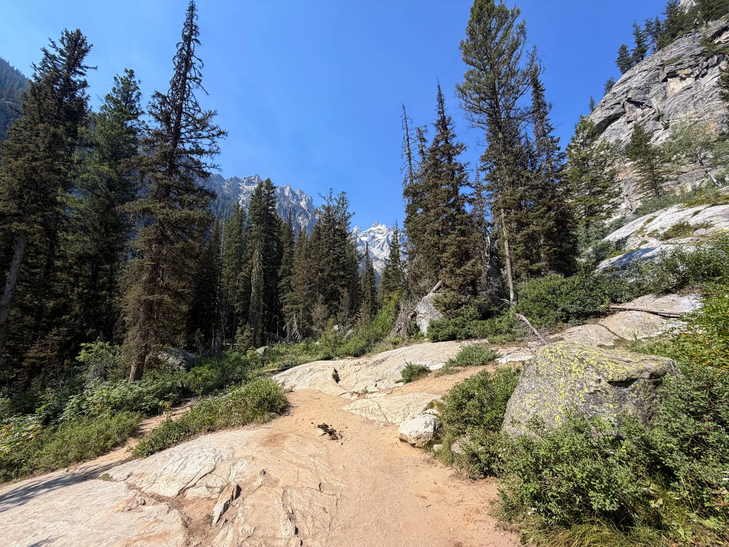 Cascade Canyon Trail Grand Teton National Park Wyoming