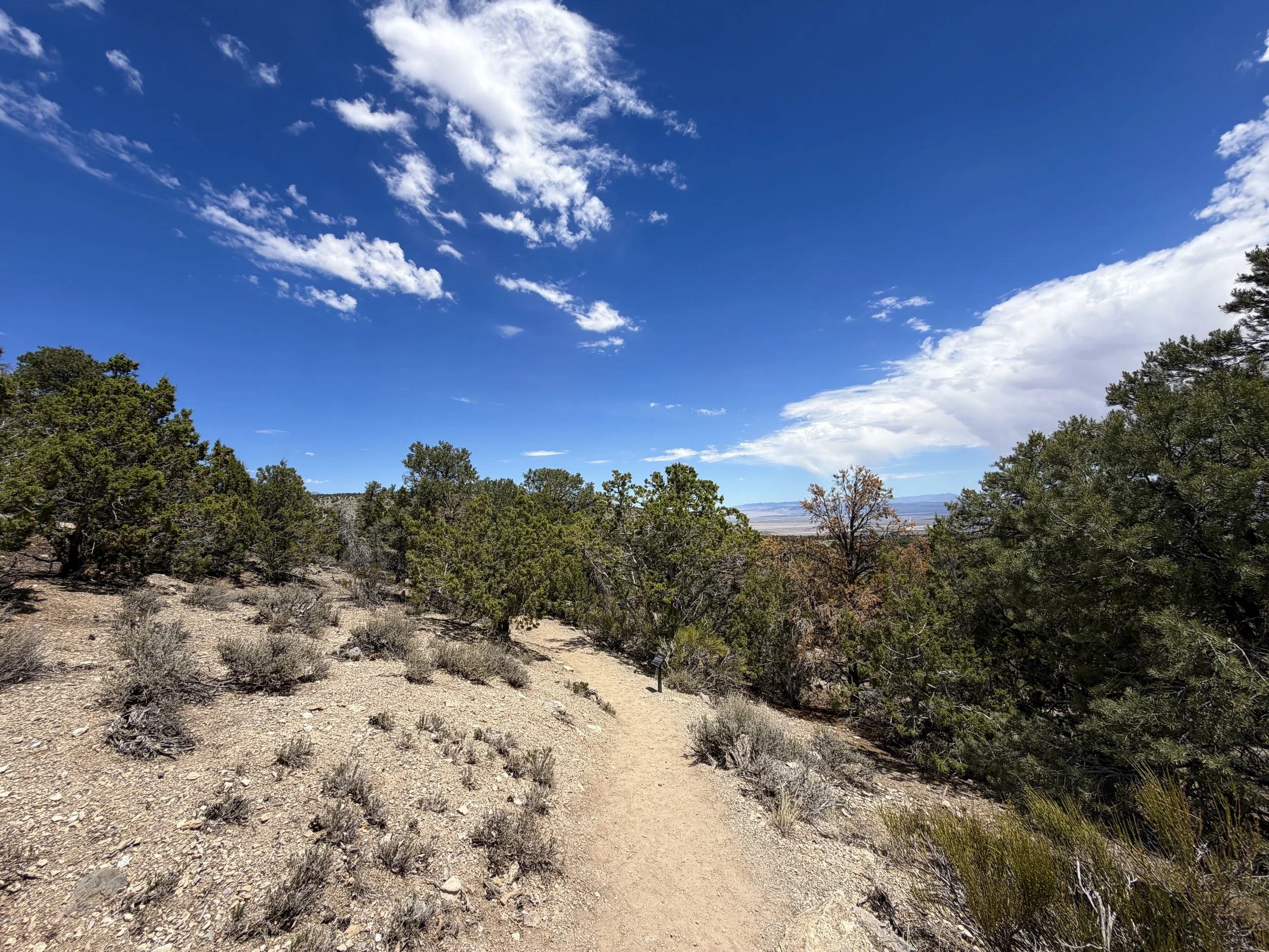 Mountain View Nature Trail Great Basin National Park Nevada