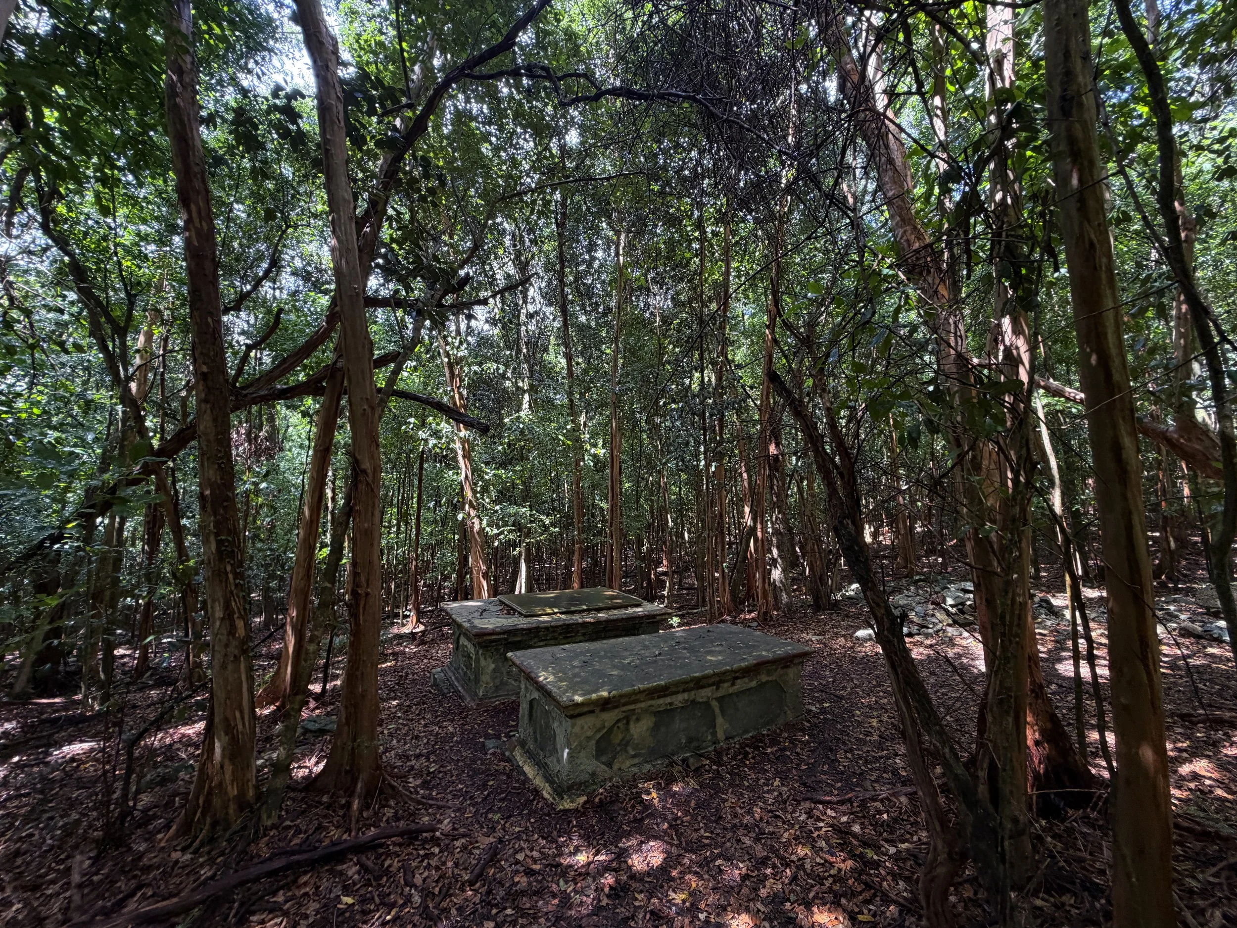 Graves Cinnamon Bay Loop Trail Virgin Islands National Park