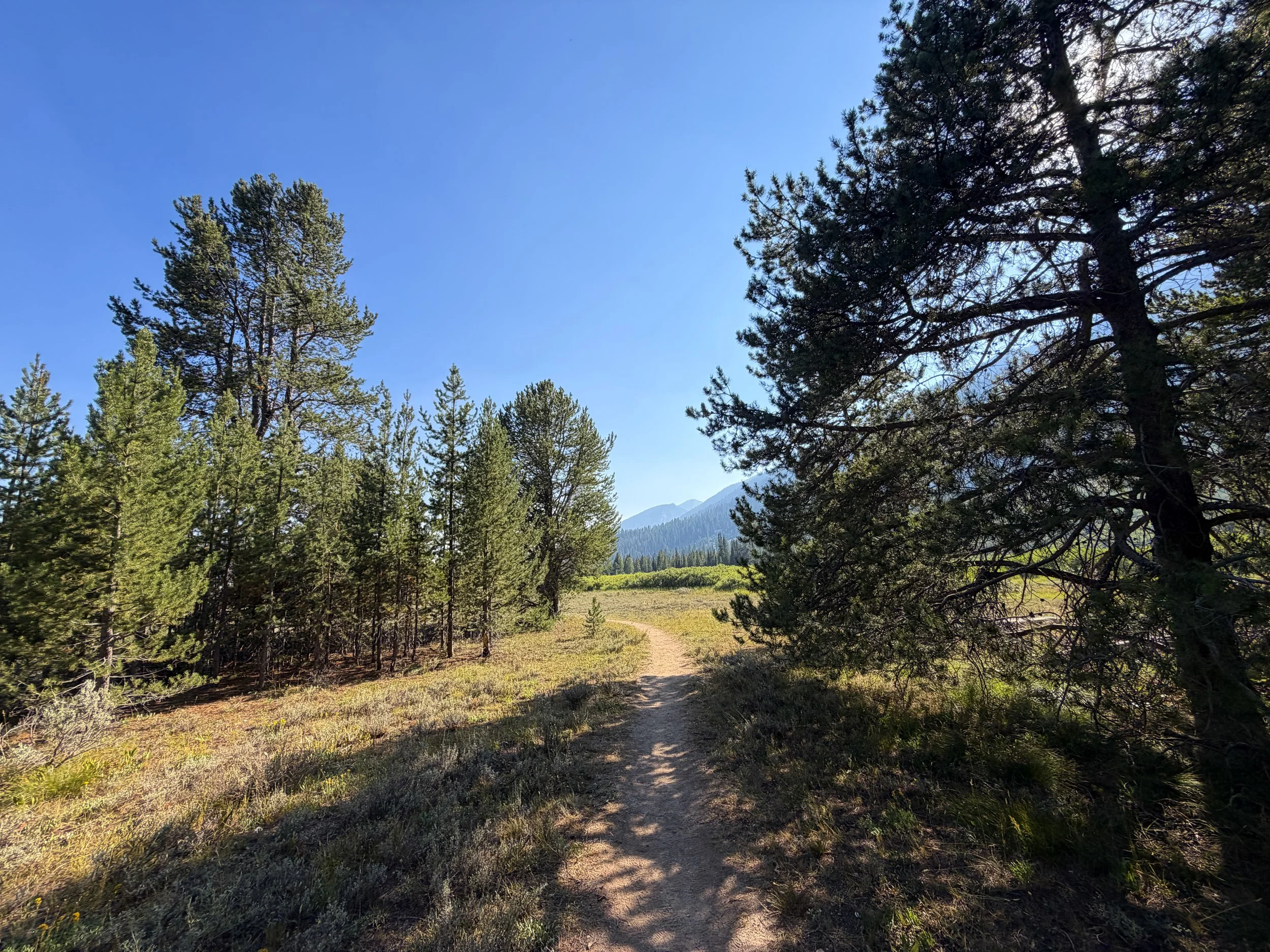 Moose Ponds Loop Trail Grand Teton National Park Wyoming