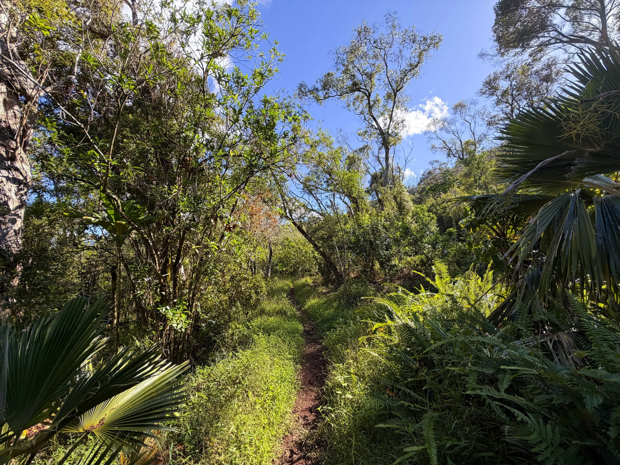Mokuleia Trail Oahu Hawaii