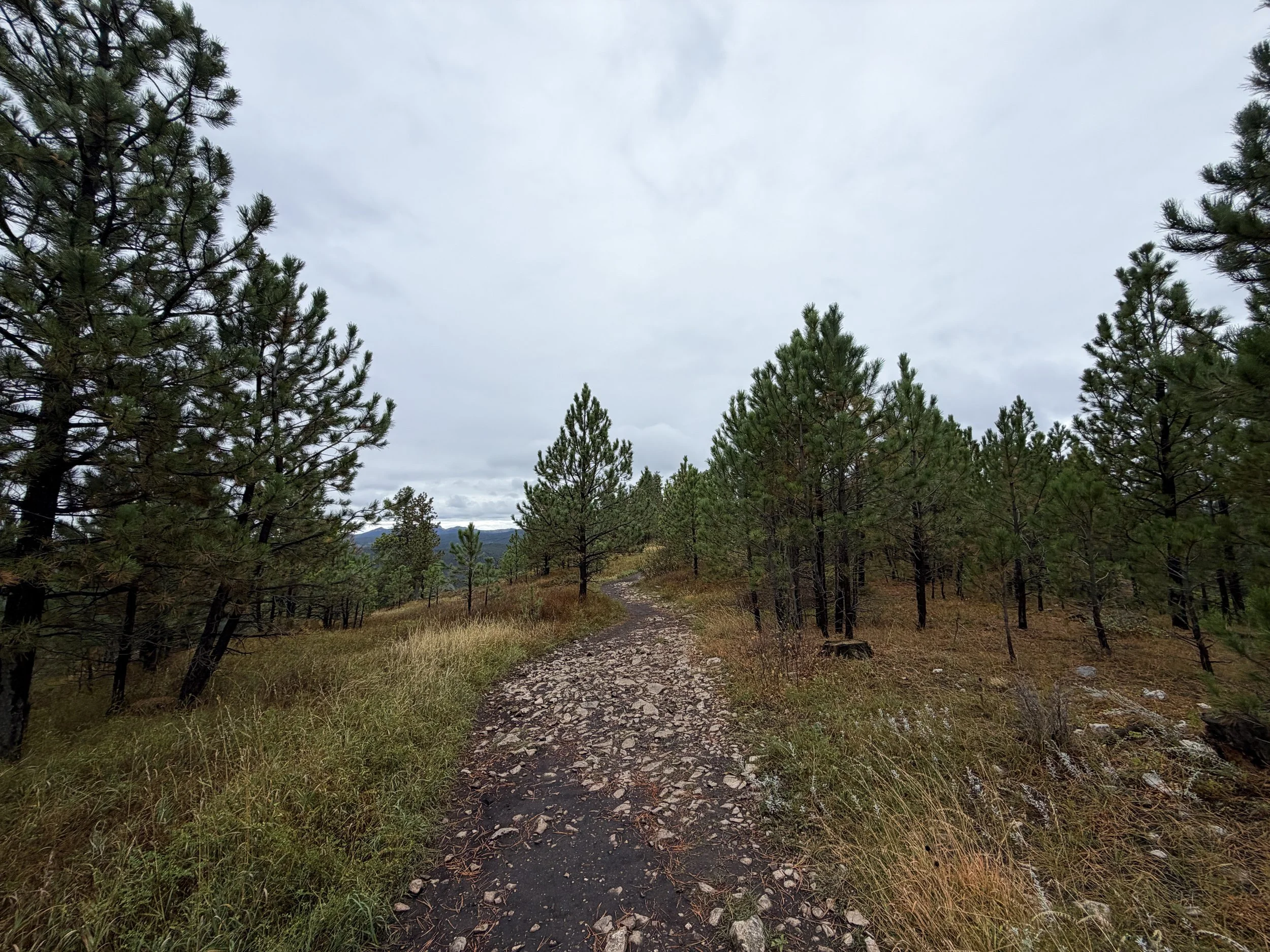 Buzzards Roost Trail Black Hills Rapid City South Dakota