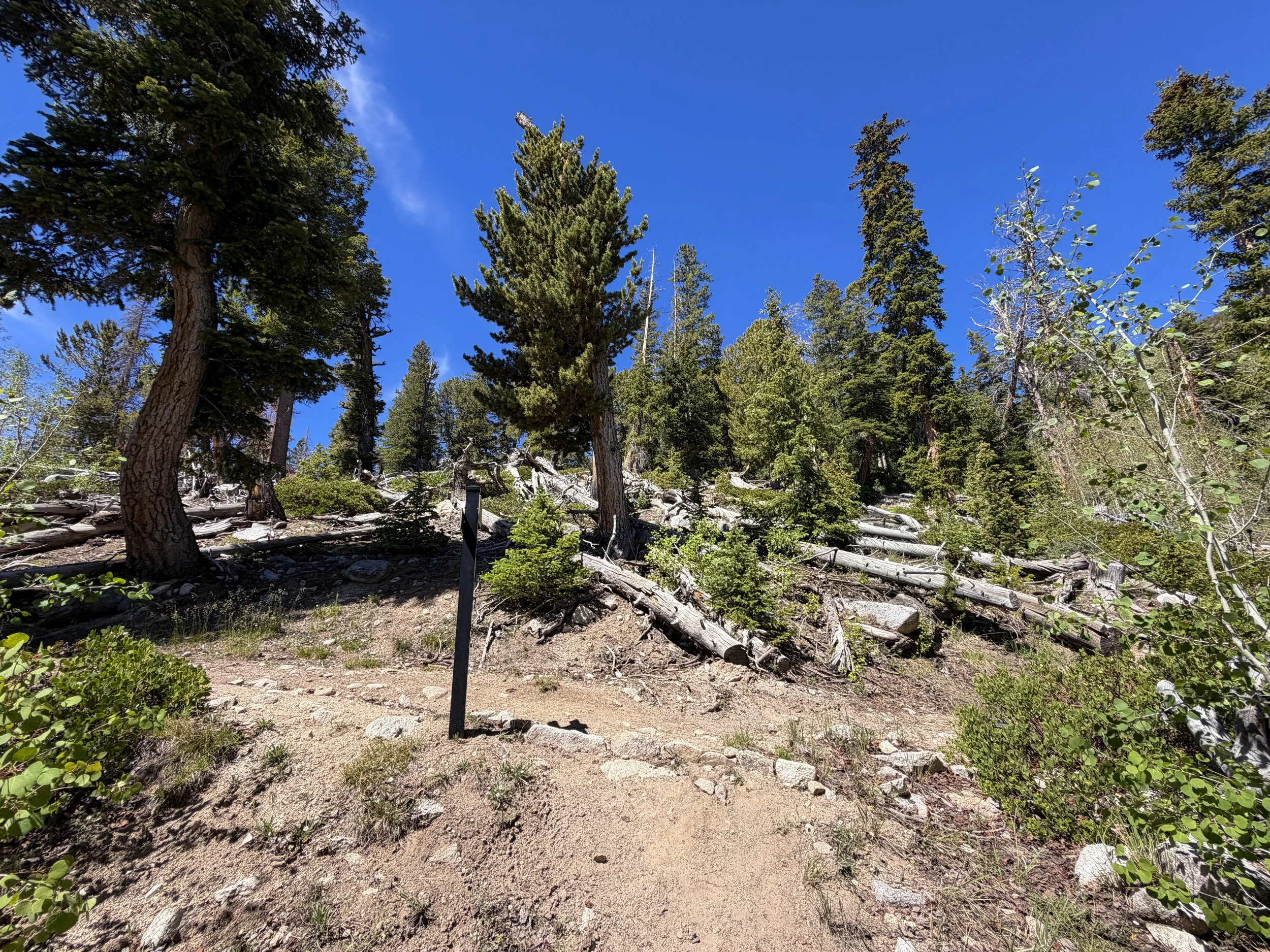 Dead Lake Trail Great Basin National Park Nevada