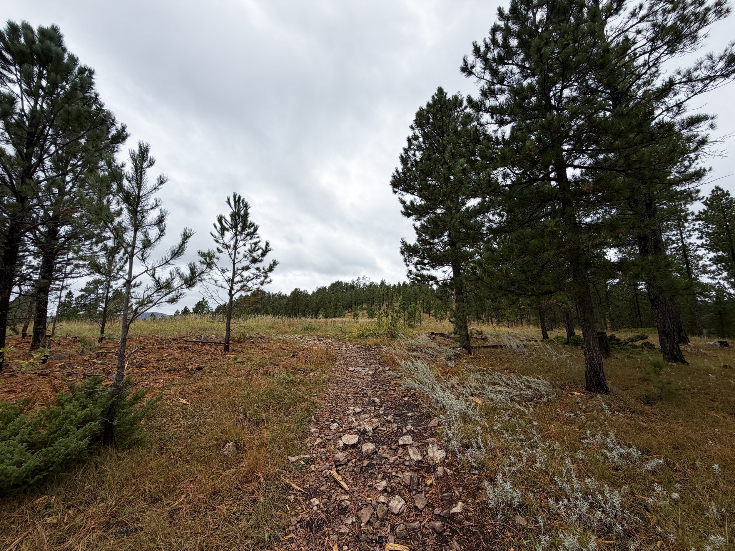 Buzzards Roost Hike Black Hills Rapid City South Dakota