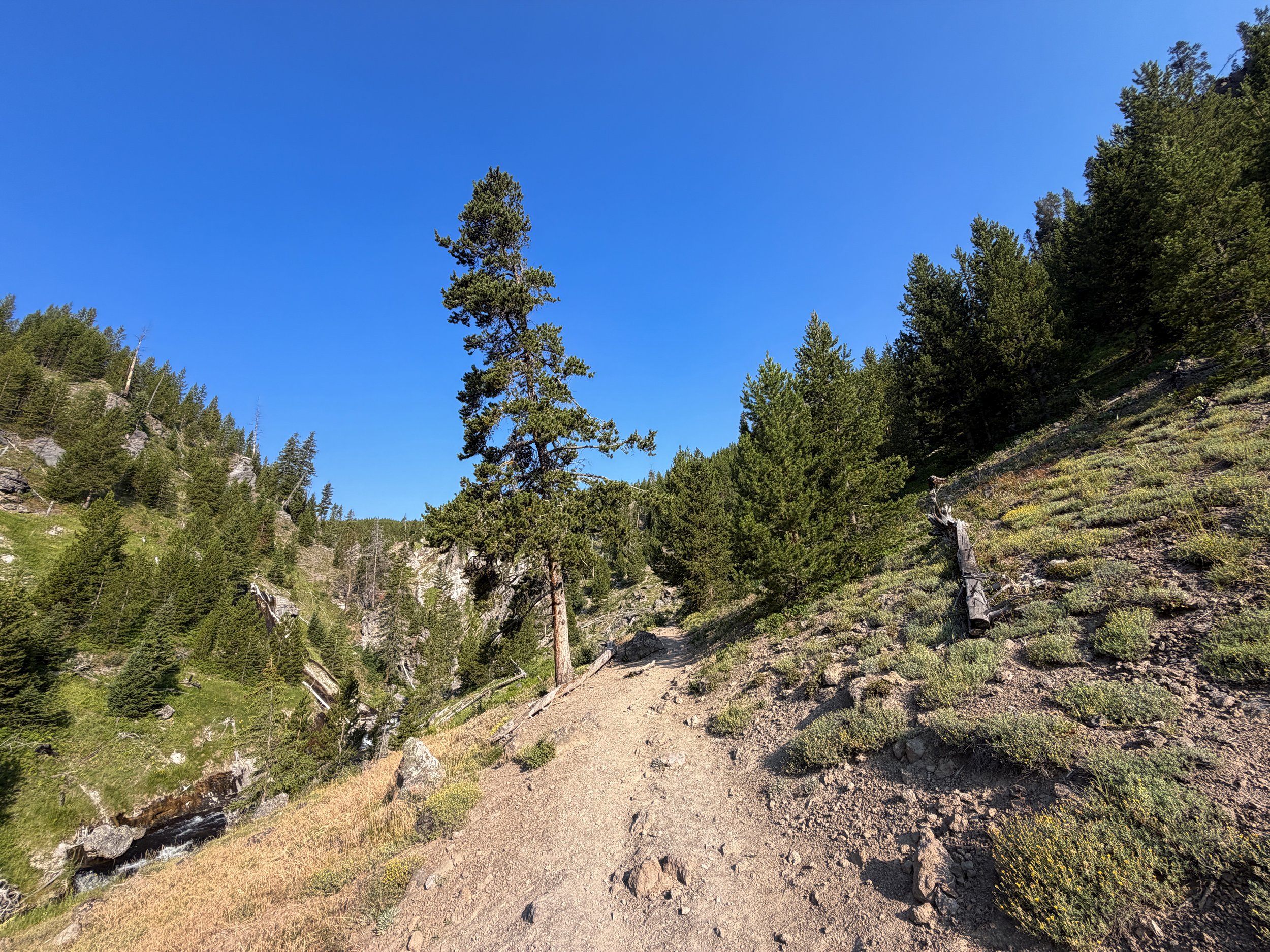 Mystic Falls Loop Hike Yellowstone National Park Wyoming