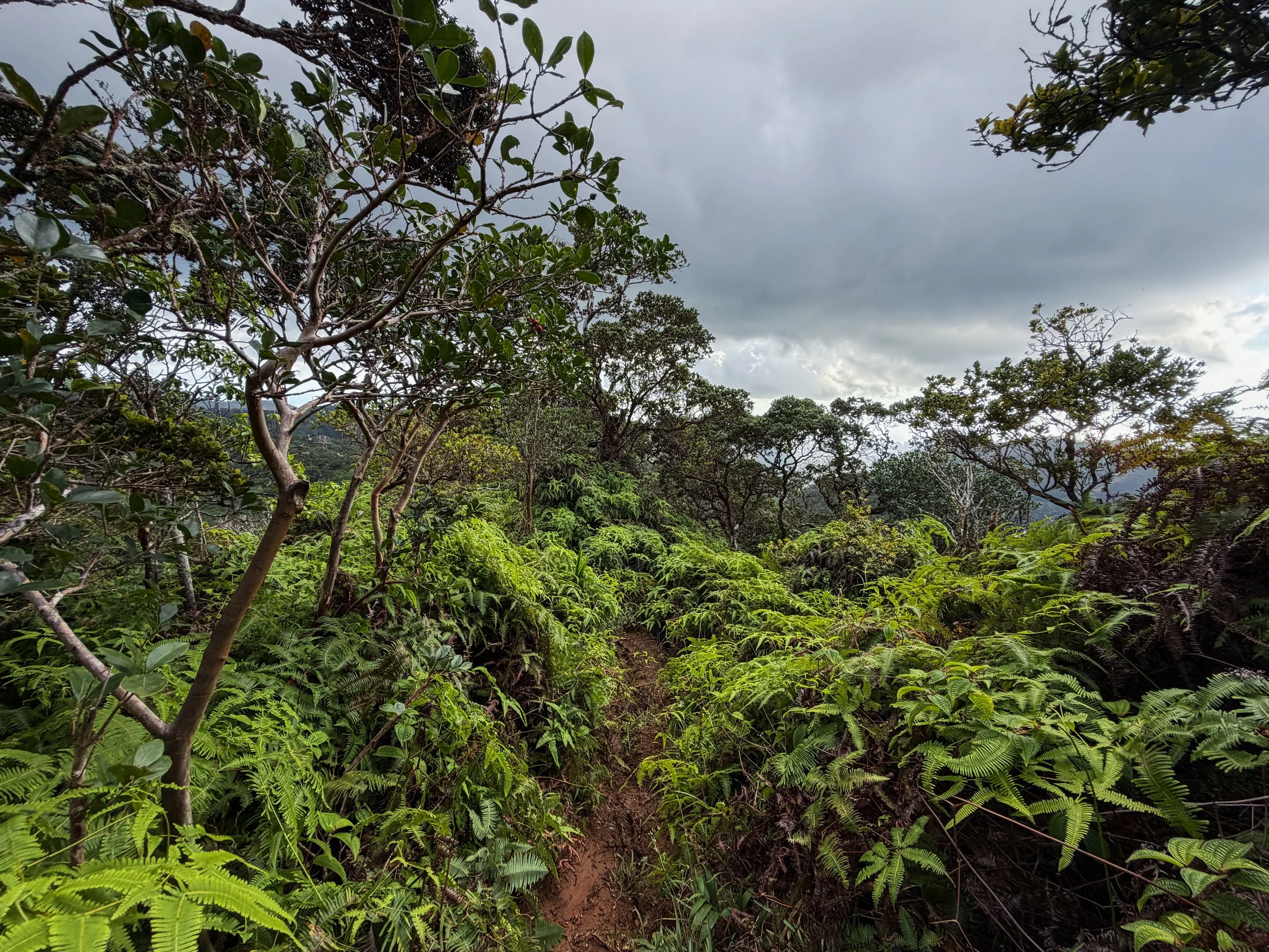 Kaau Crater Hike Oahu Hawaii