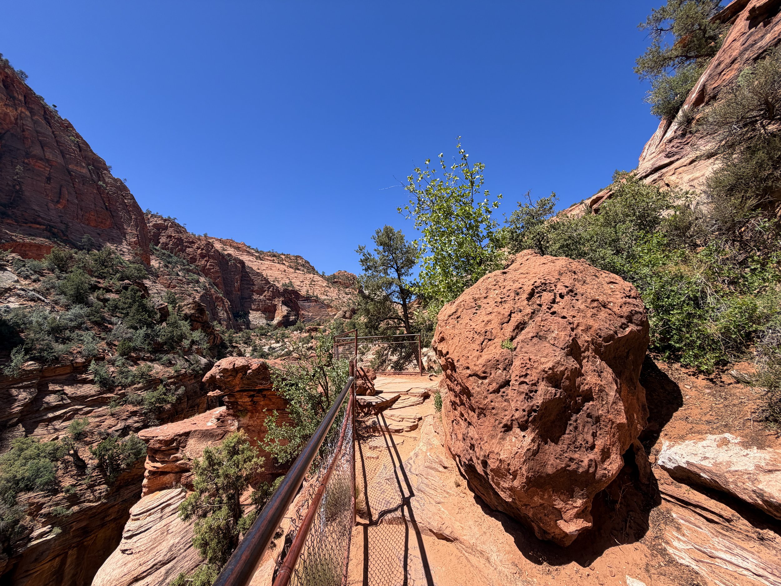 Canyon Overlook Trail Zion National Park Utah