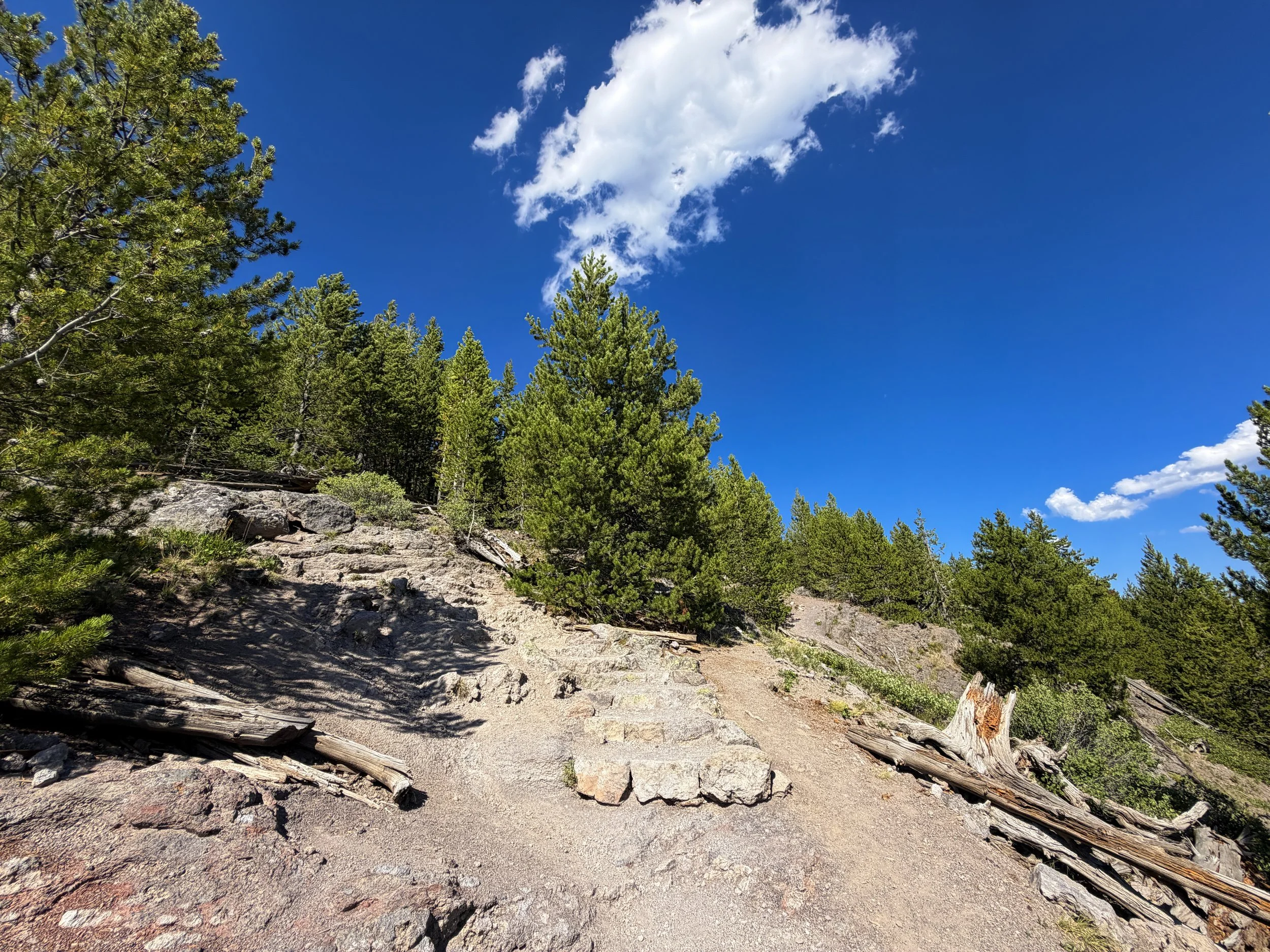 Observation Point Loop Trail Yellowstone National Park Wyoming
