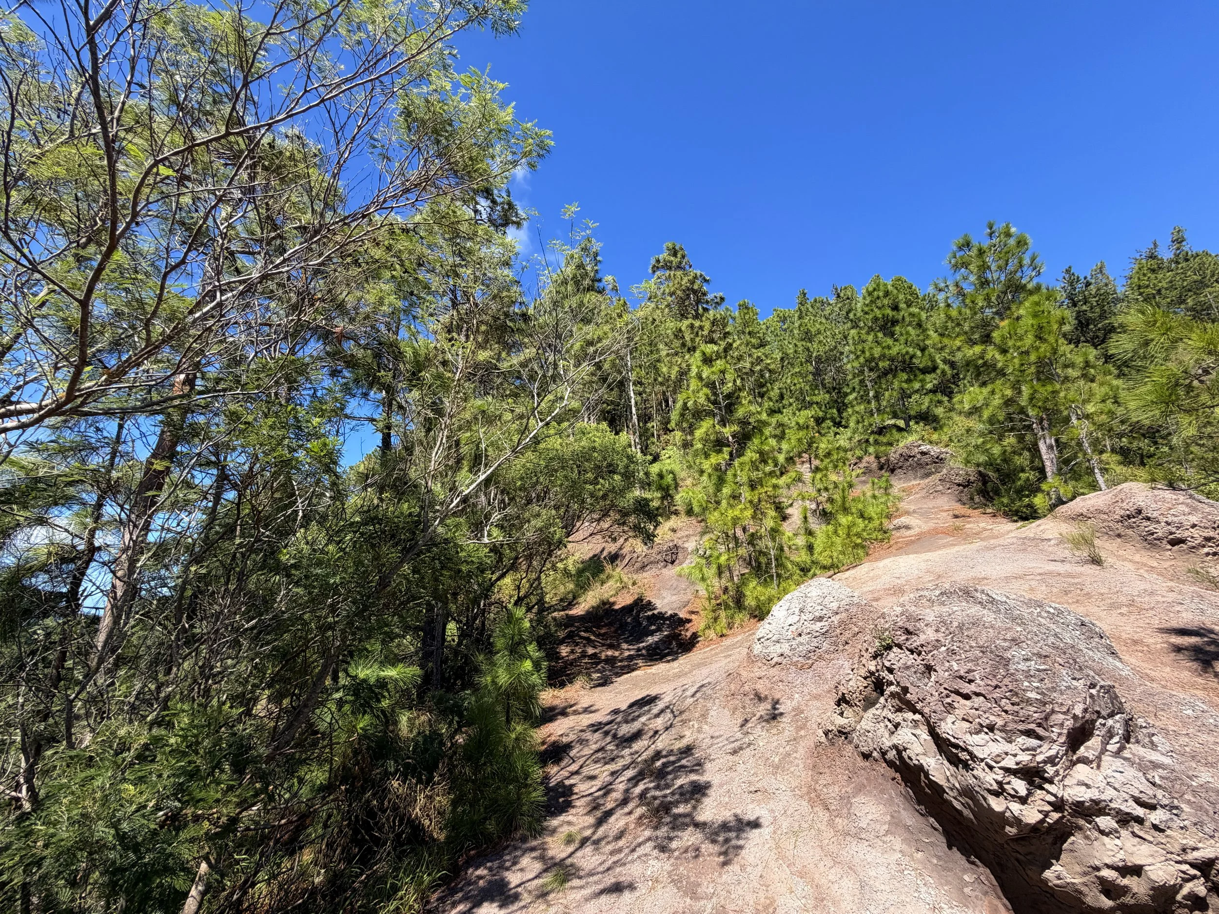 Kuaokala Trail Oahu Hawaii