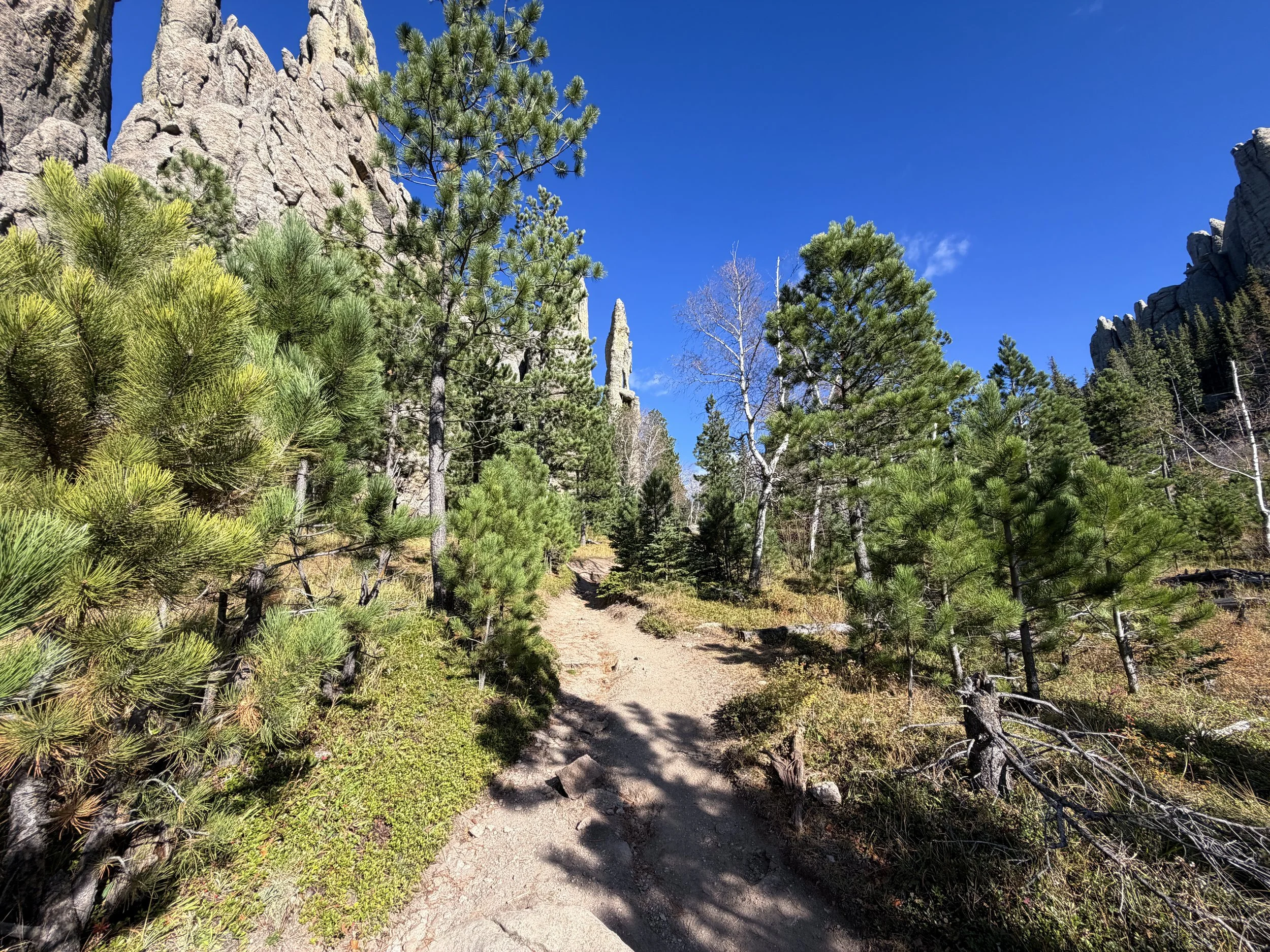 Cathedral Spires Trail Custer State Park Black Hills South Dakota