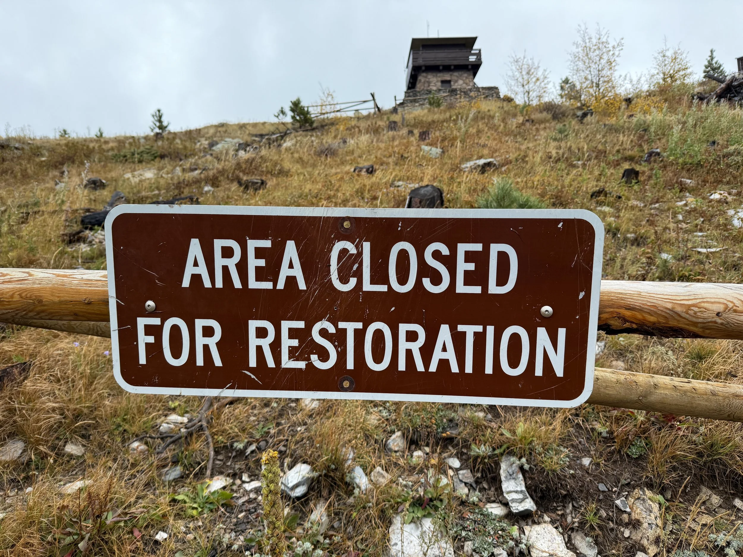 Custer Peak Trail Black Hills South Dakota