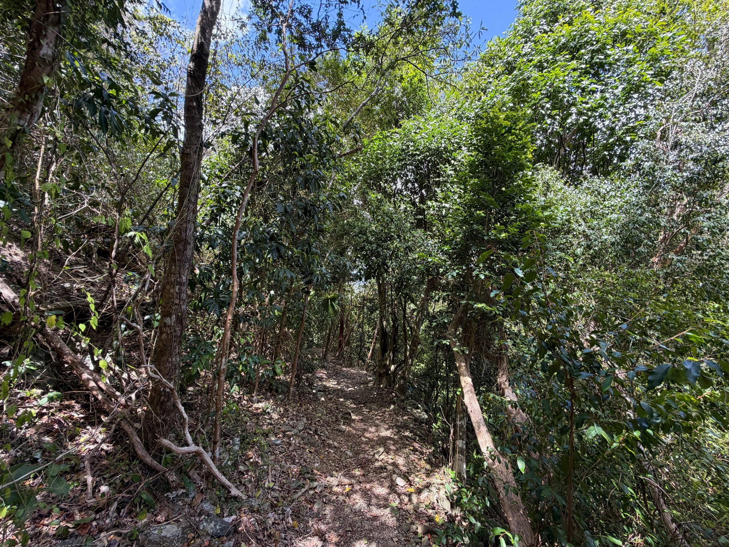 Maria Hope Hike Virgin Islands National Park