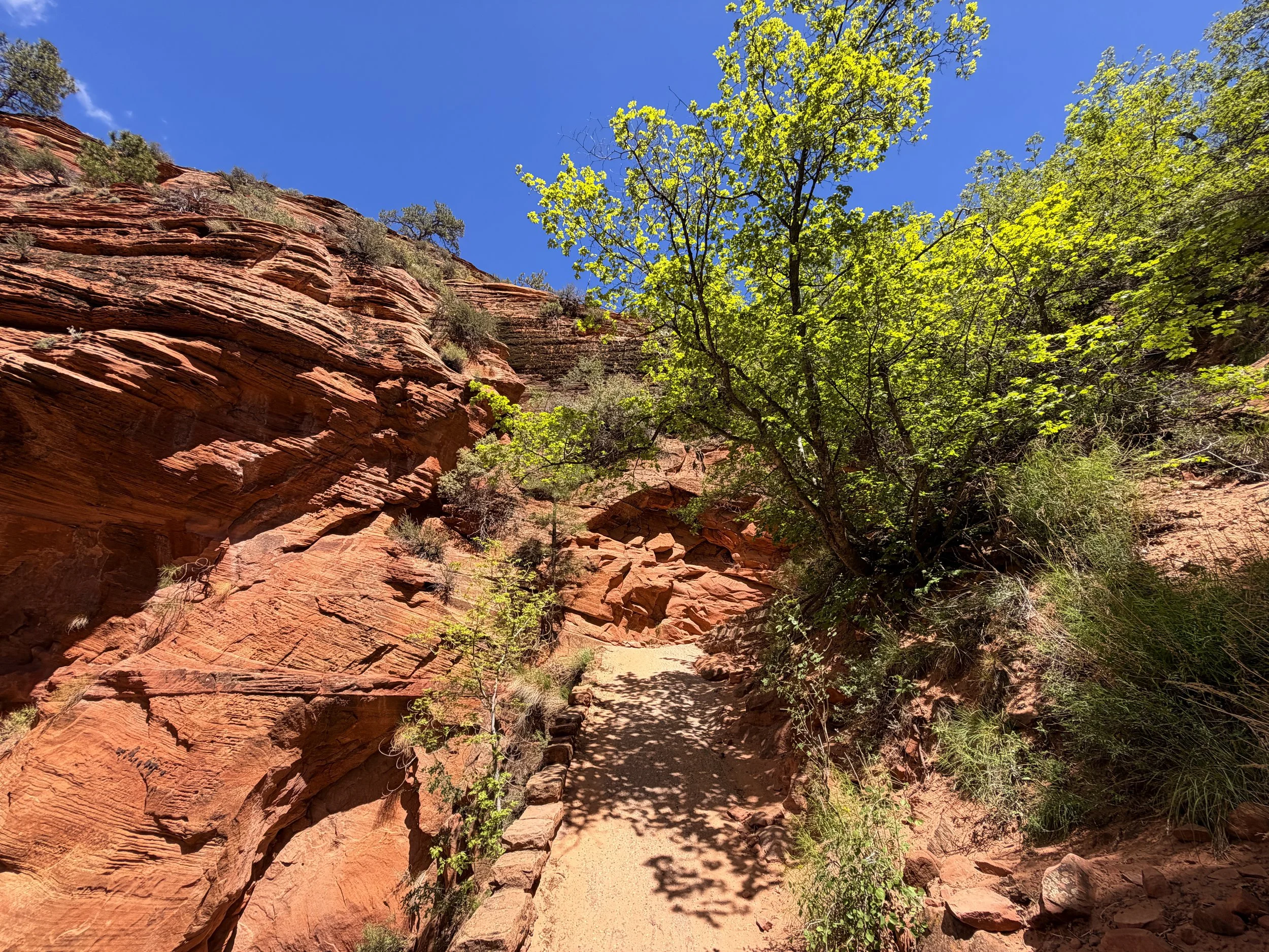 Angels Landing Hike Walters Wiggles Zion National Park Utah