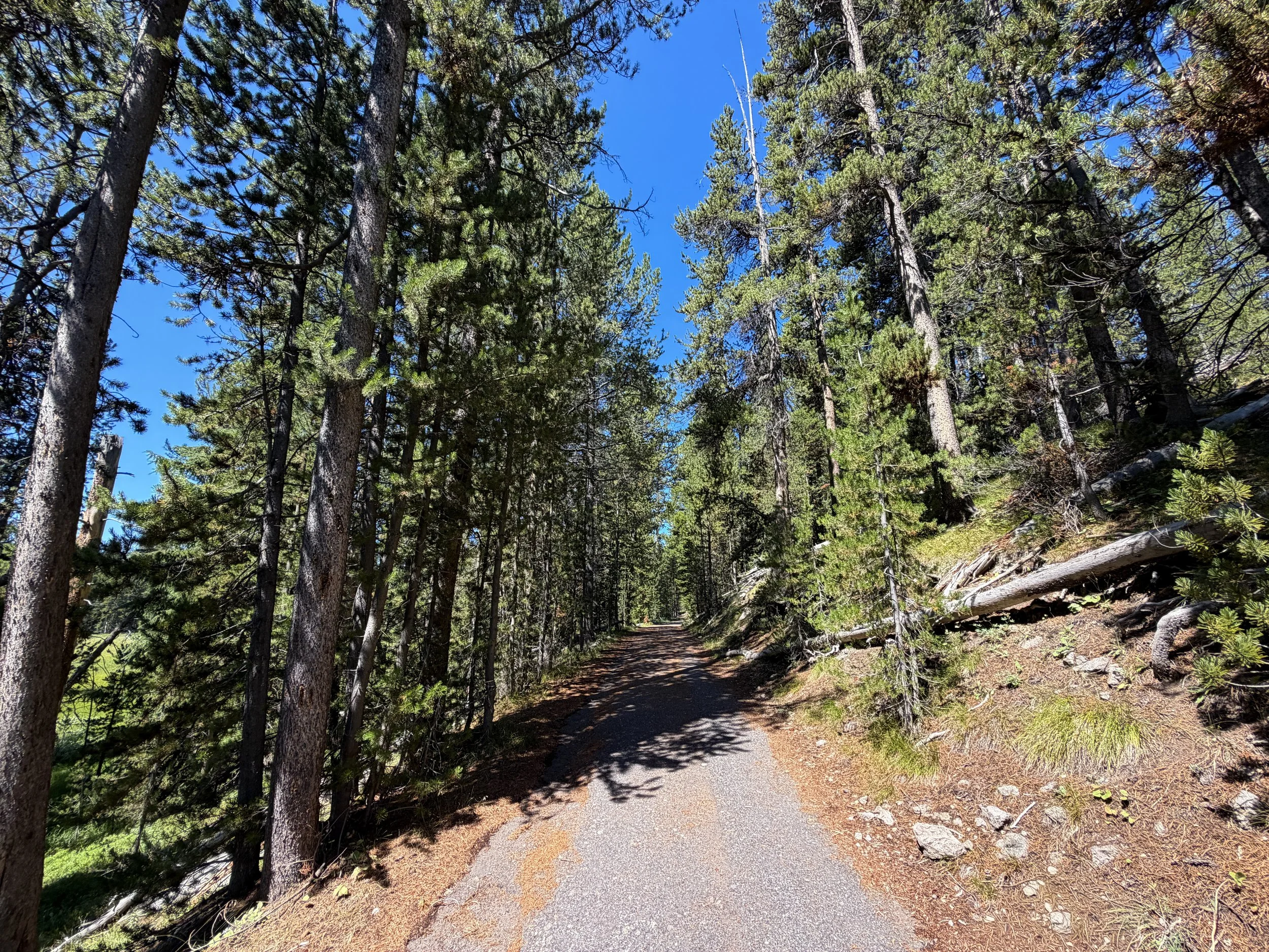 Lone Star Trail Yellowstone National Park Wyoming