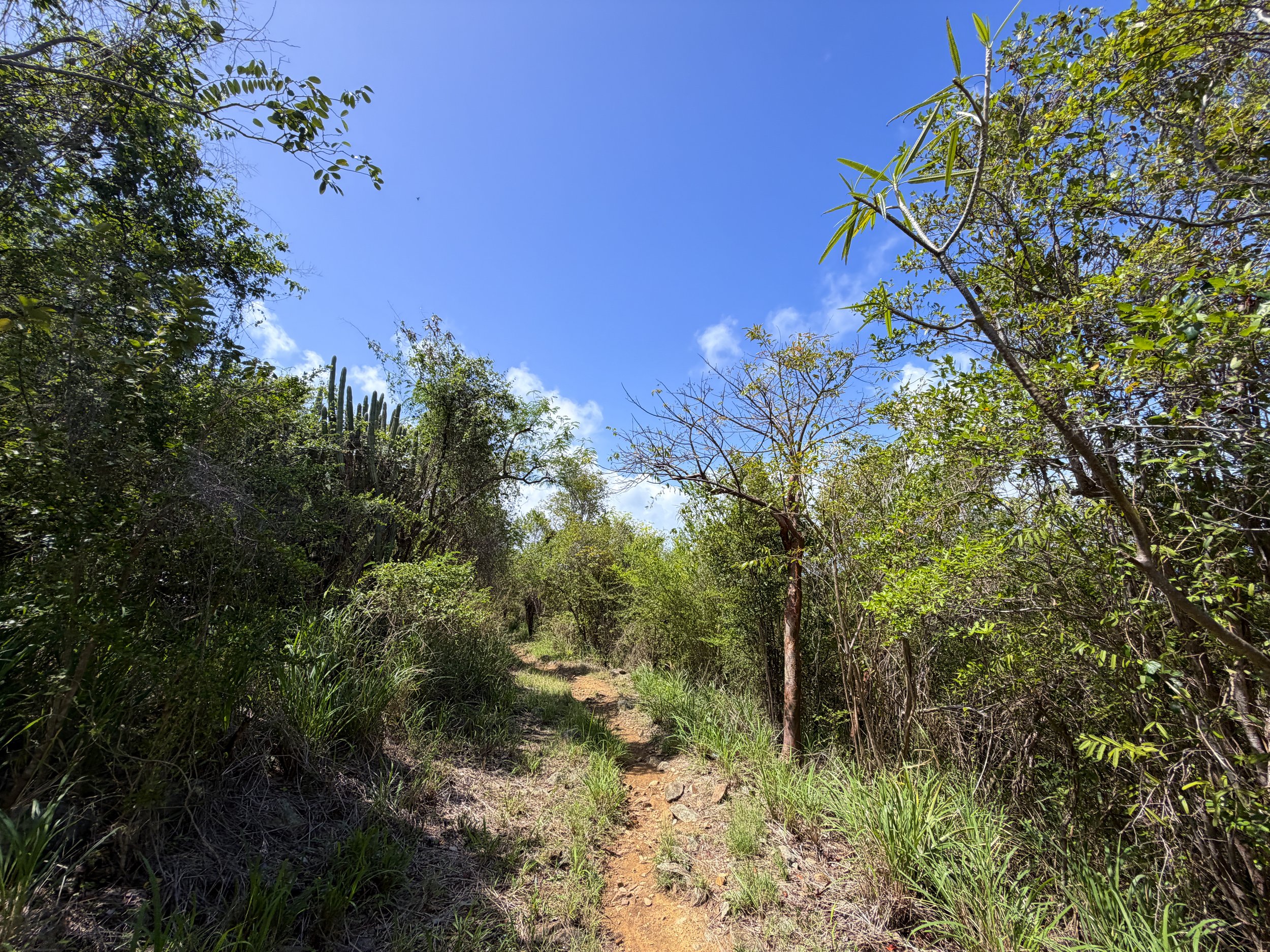 Lind Point Hike Virgin Islands National Park