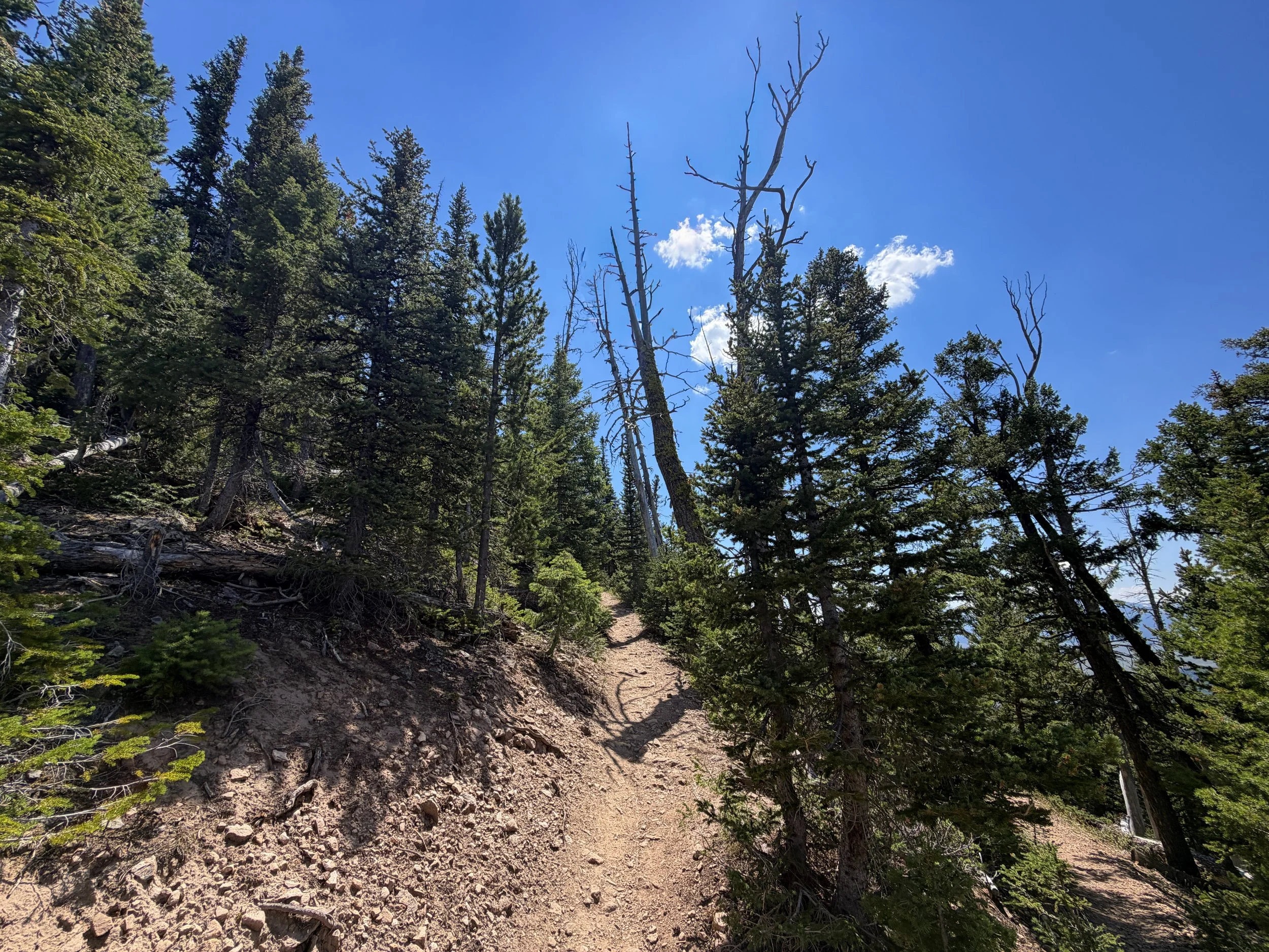 Bunsen Peak Trail Yellowstone National Park Wyoming