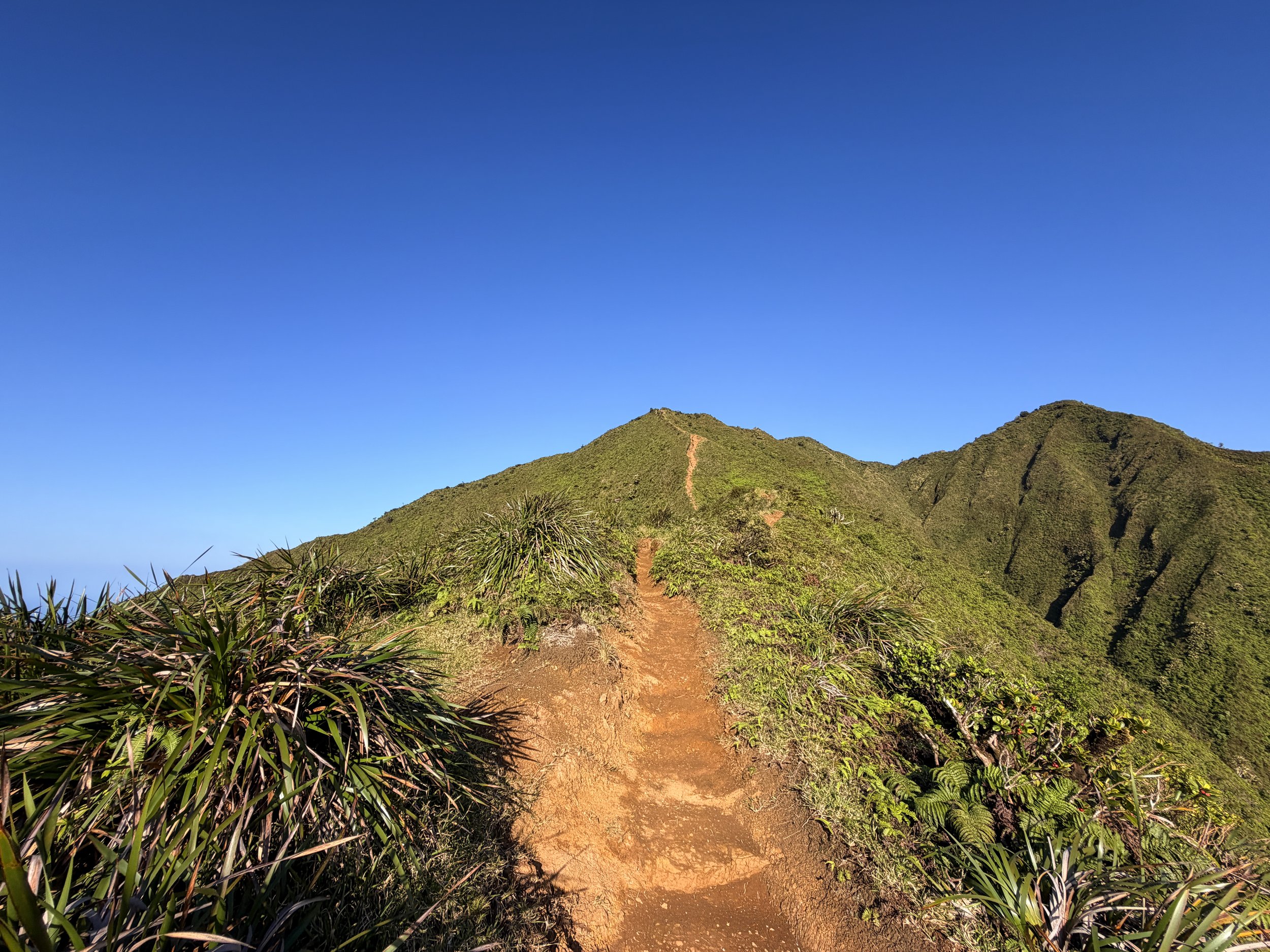 Moanalua Middle Ridge Trail Back Way to Stairway to Heaven Oahu Hawaii