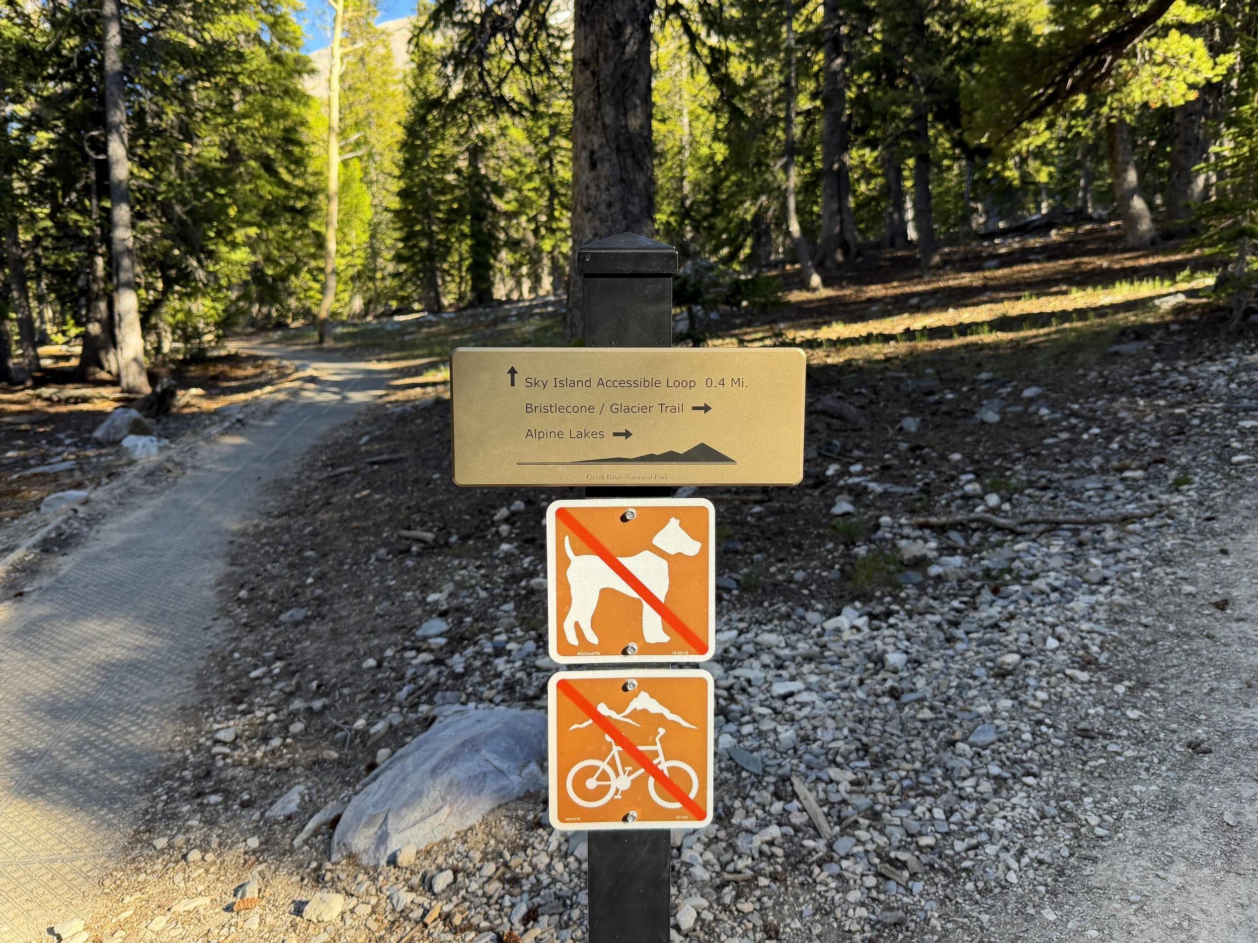 Sky Island Forest Trail Great Basin National Park Nevada