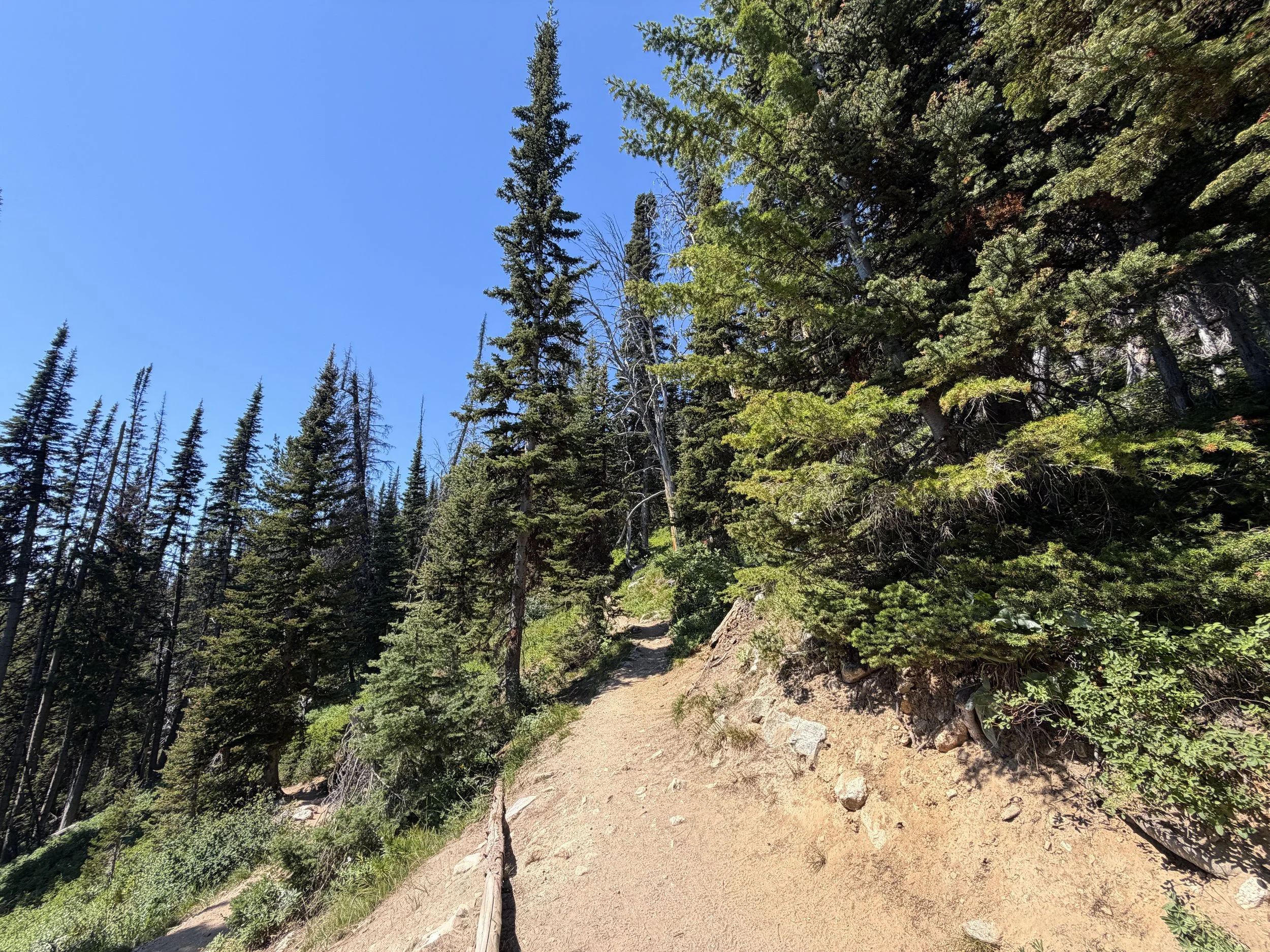 Surprise and Amphitheater Lakes Trail Grand Teton National Park Wyoming