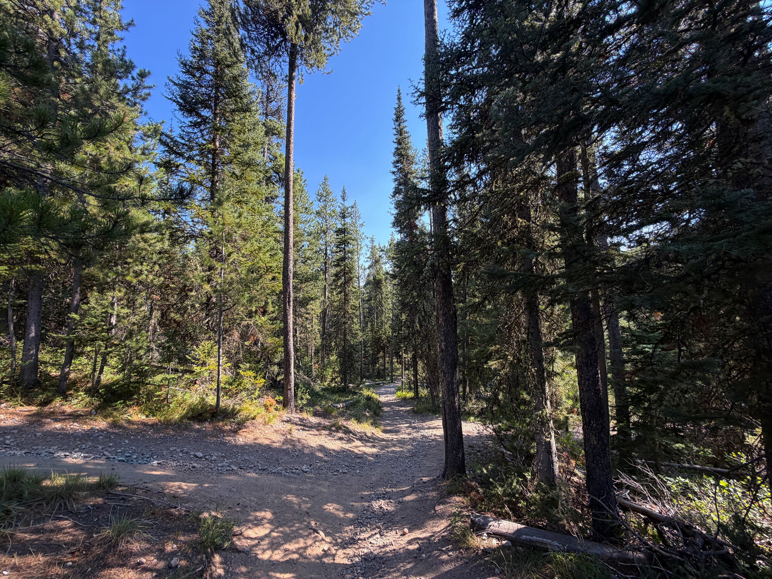 Jenny Lake Hike Grand Teton National Park Wyoming