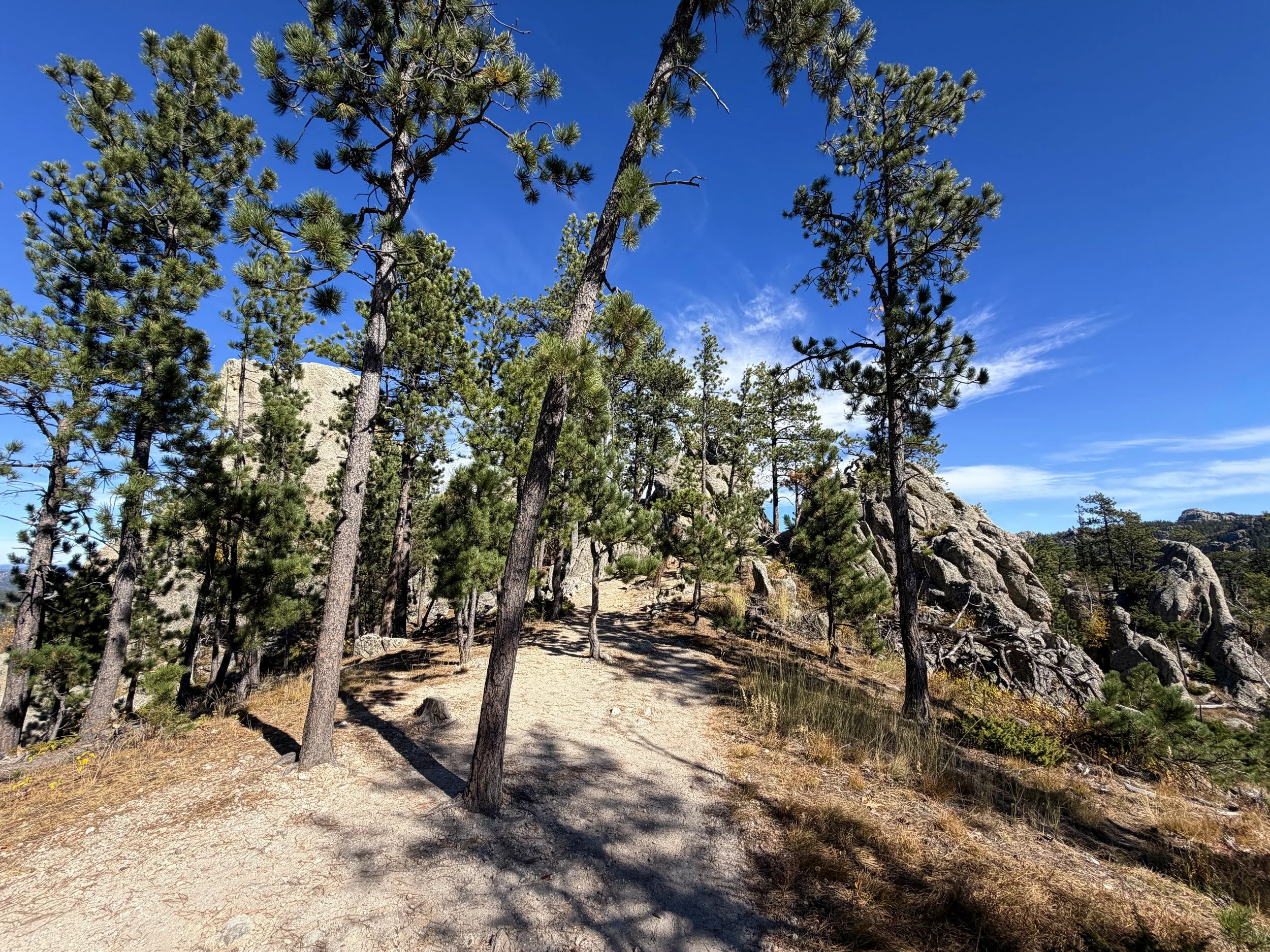Sunday Gulch Trail Custer State Park Black Hills South Dakota