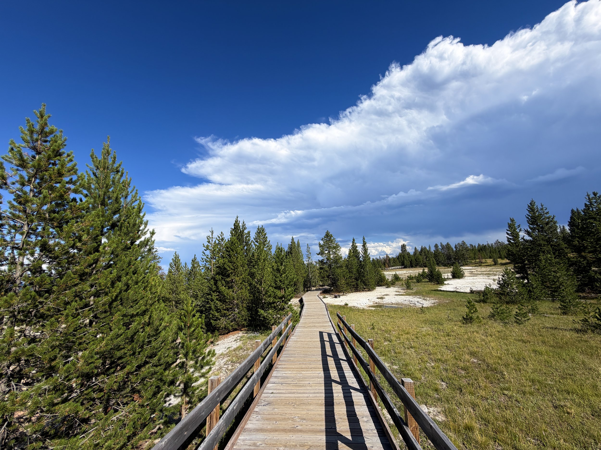 West Thumb Geyser Basin Trail Yellowstone National Park Wyoming