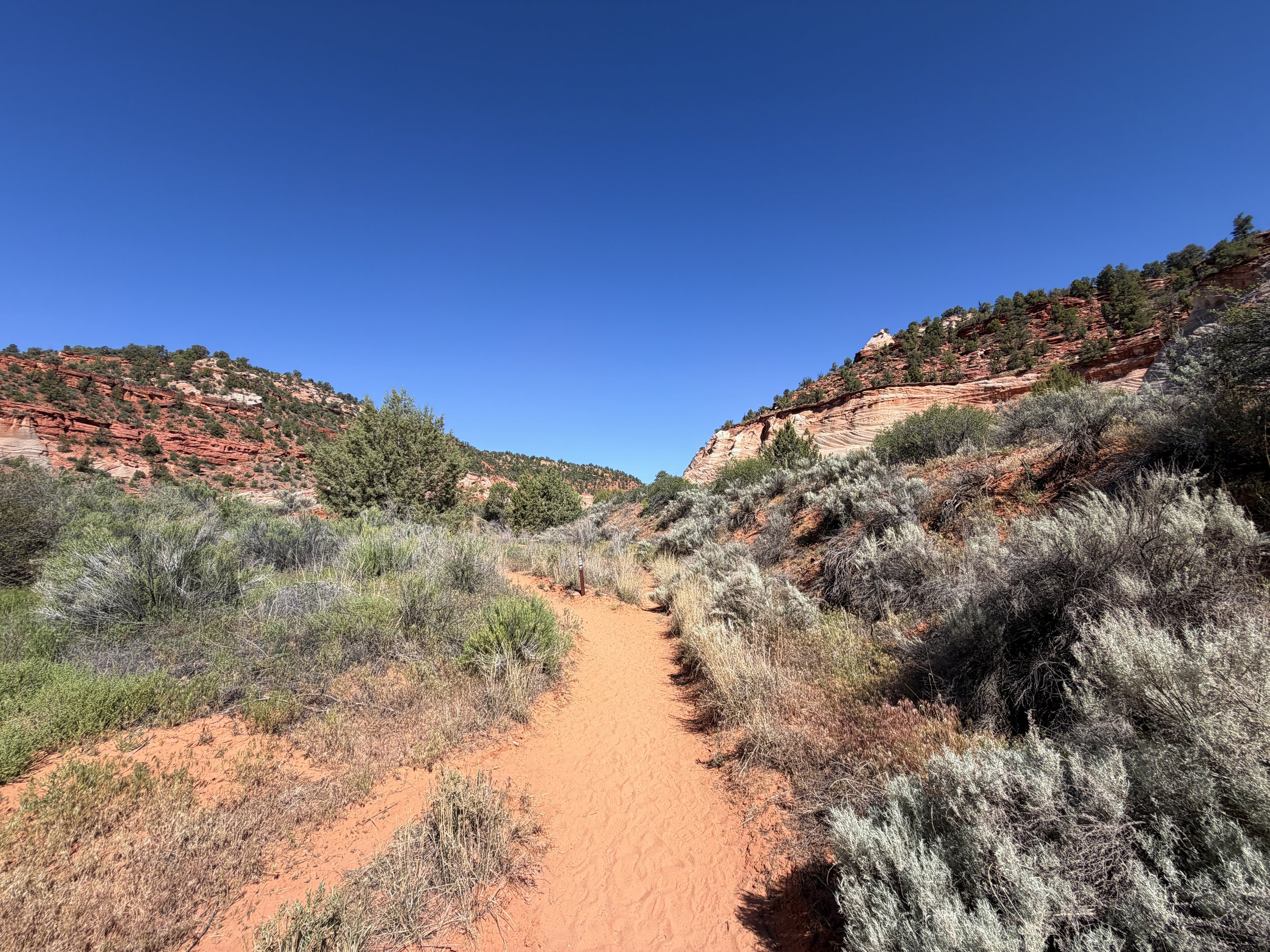 Moqui Sand Caves Hike Kanab Utah