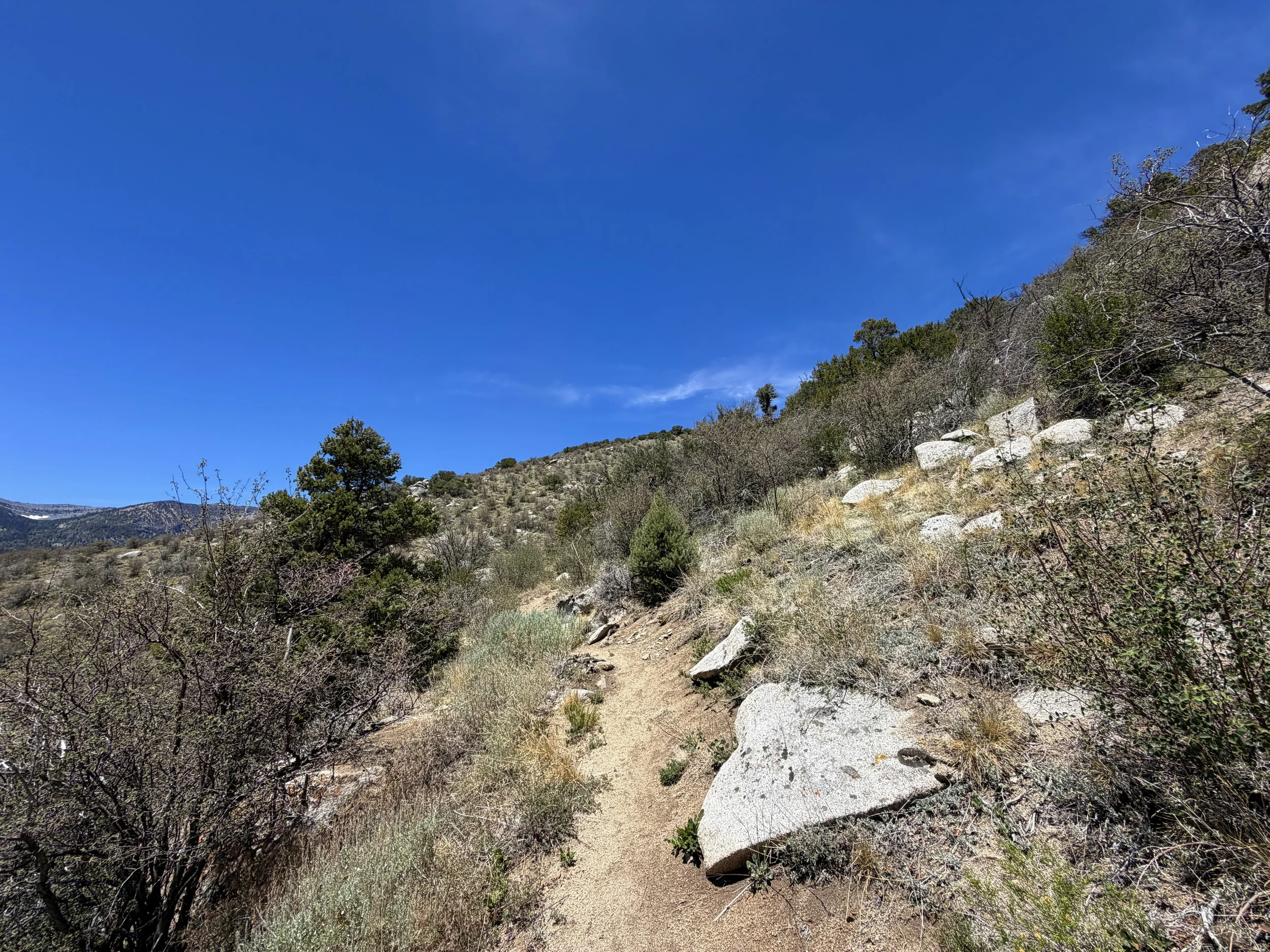 Serviceberry Loop Trail Great Basin National Park Nevada