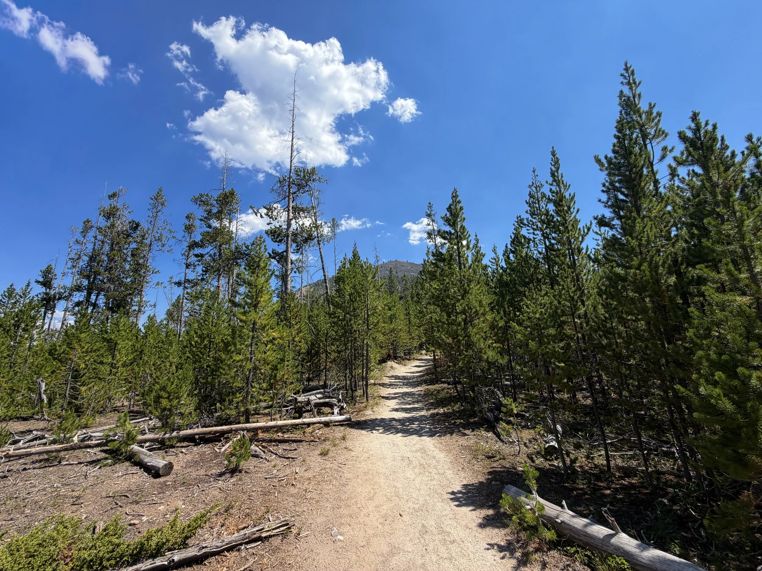 Bunsen Peak Trail Yellowstone National Park Wyoming