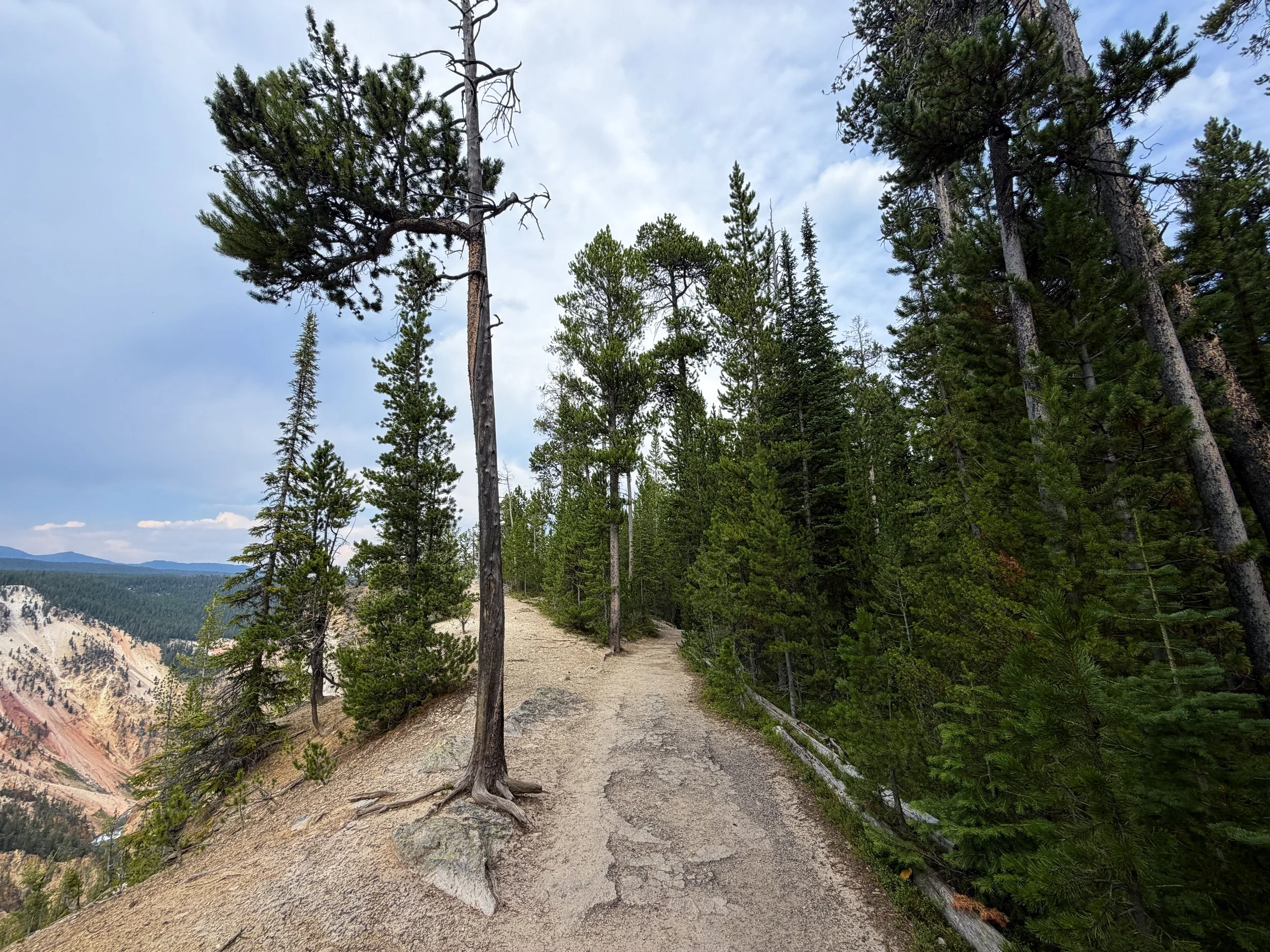South Rim Trail Yellowstone National Park Wyoming
