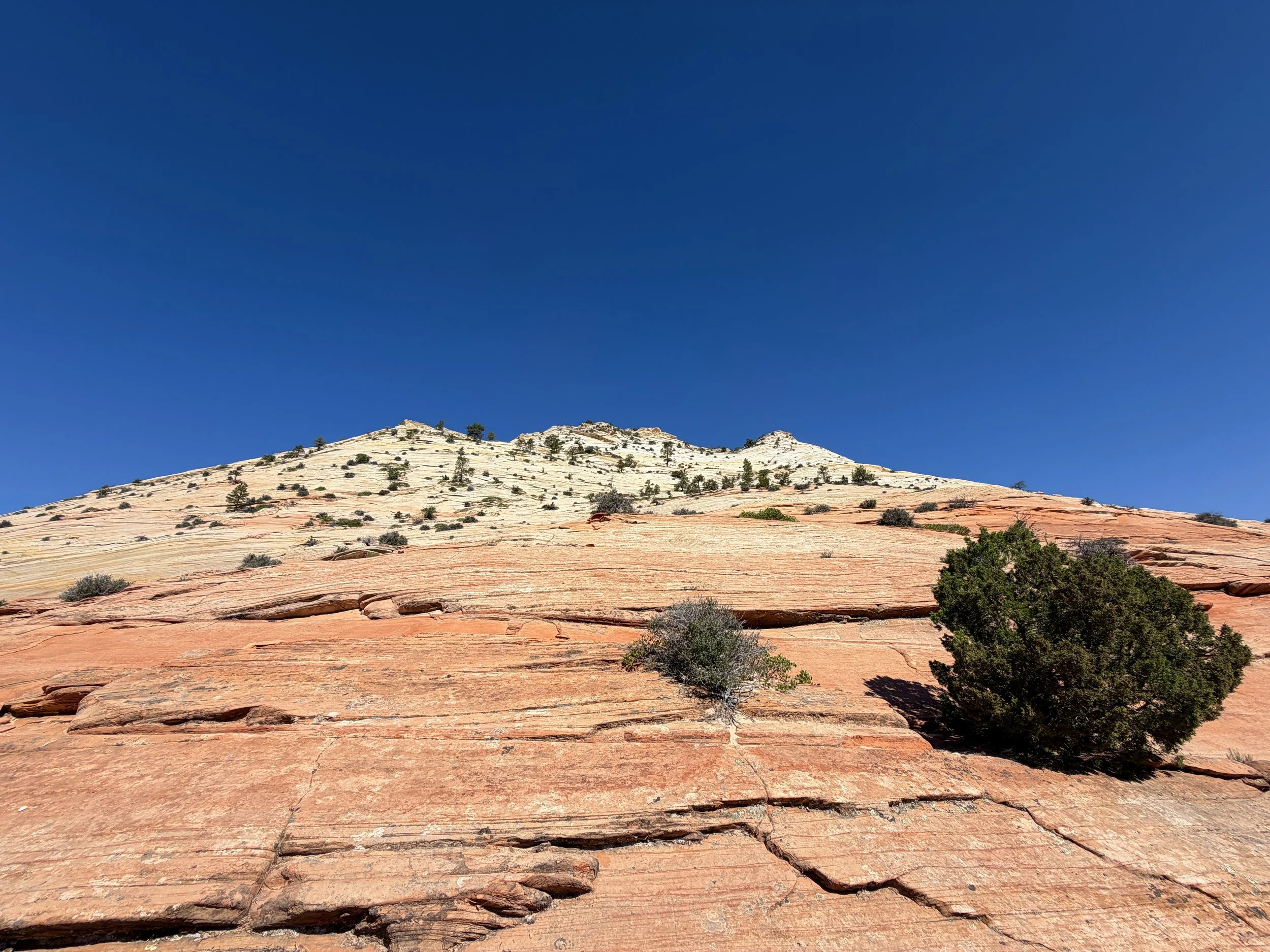 South Ariel Peak Trail Zion National Park Utah