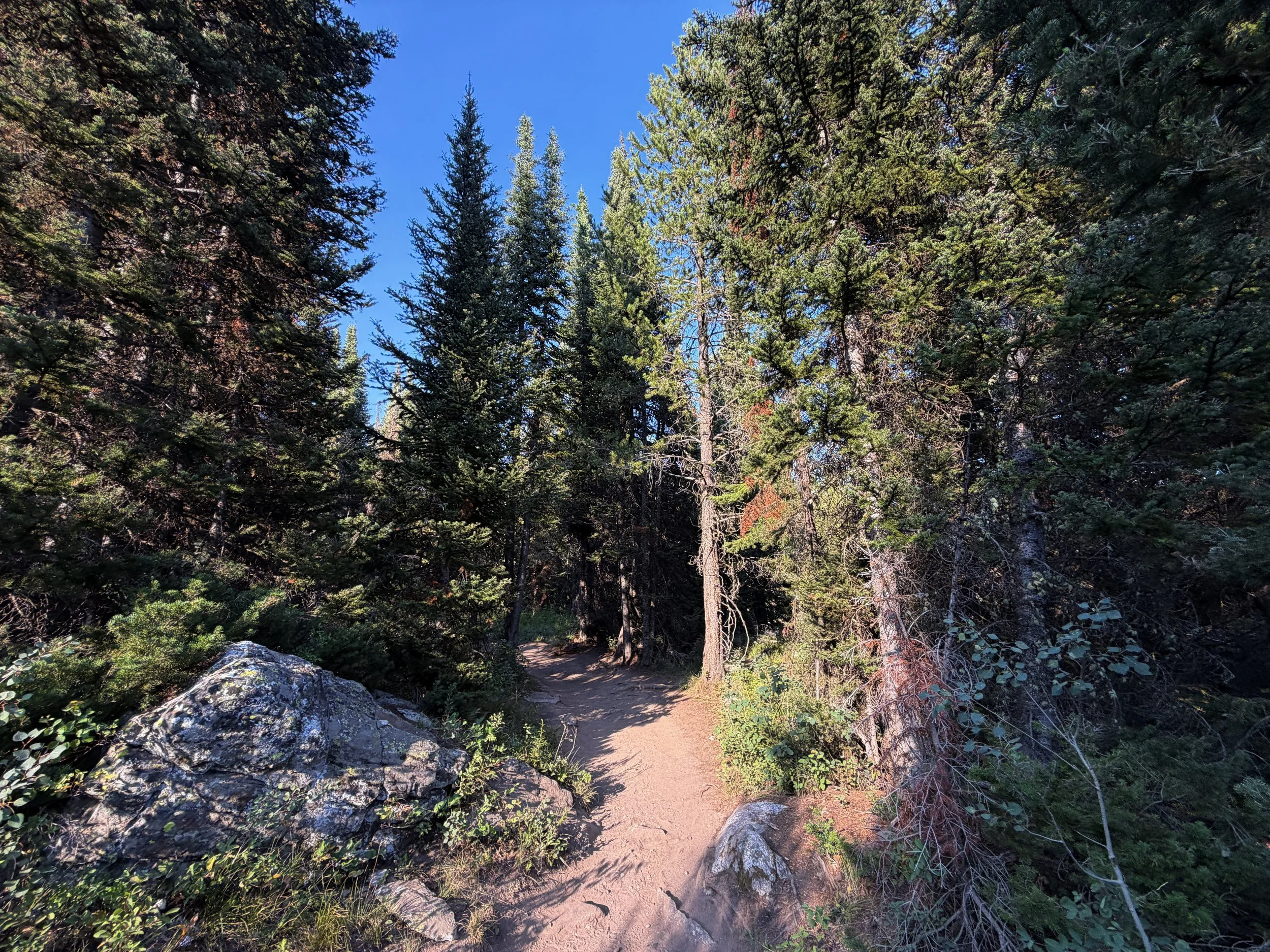 Moose Ponds Loop Trail Grand Teton National Park Wyoming