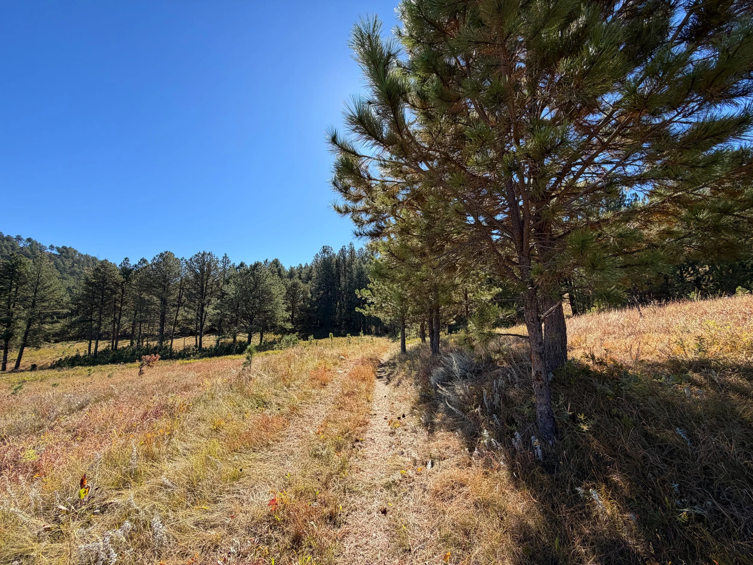 Sanctuary Hike Wind Cave National Park South Dakota