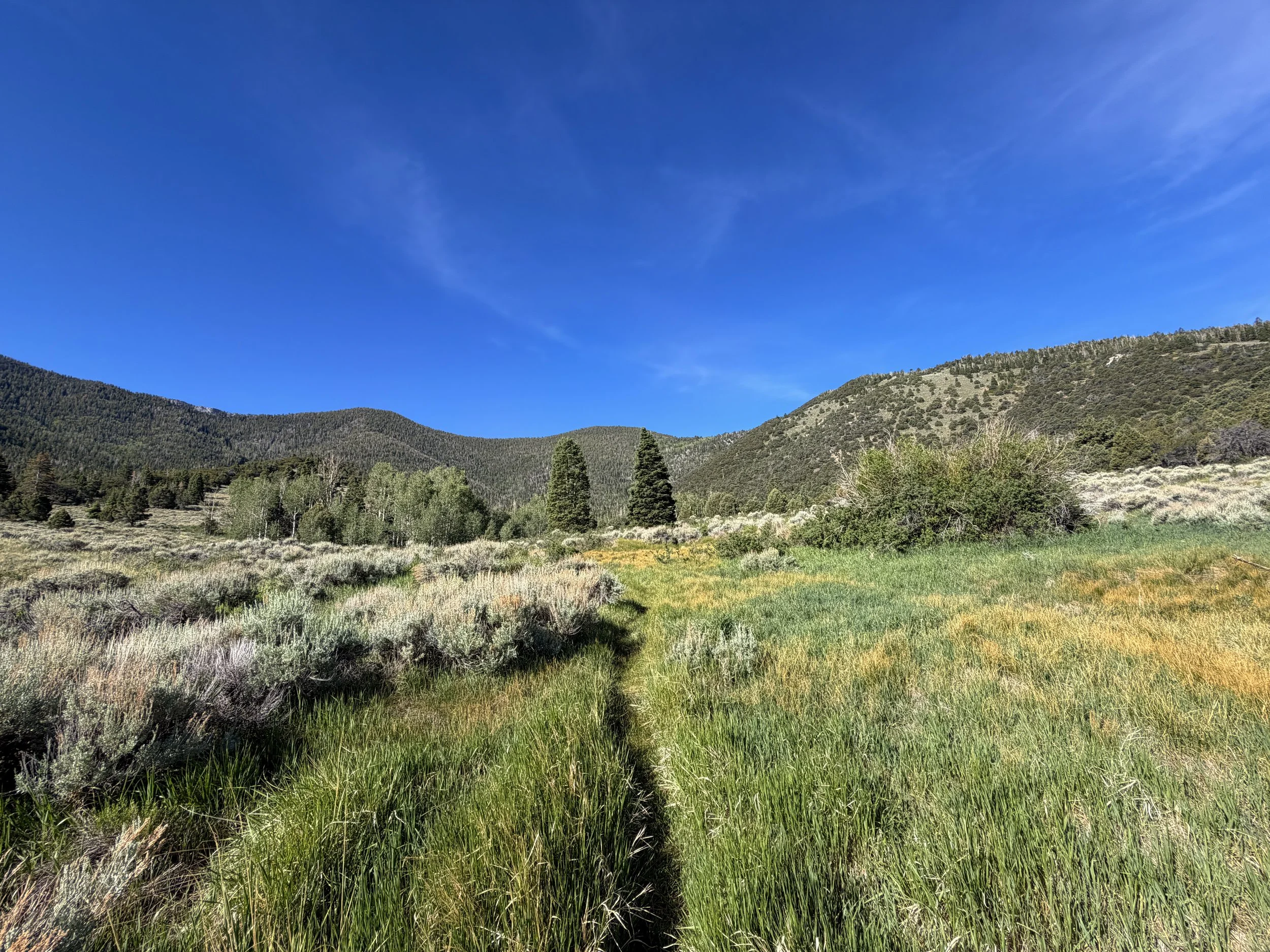 Pole Canyon Loop Trail Great Basin National Park Nevada