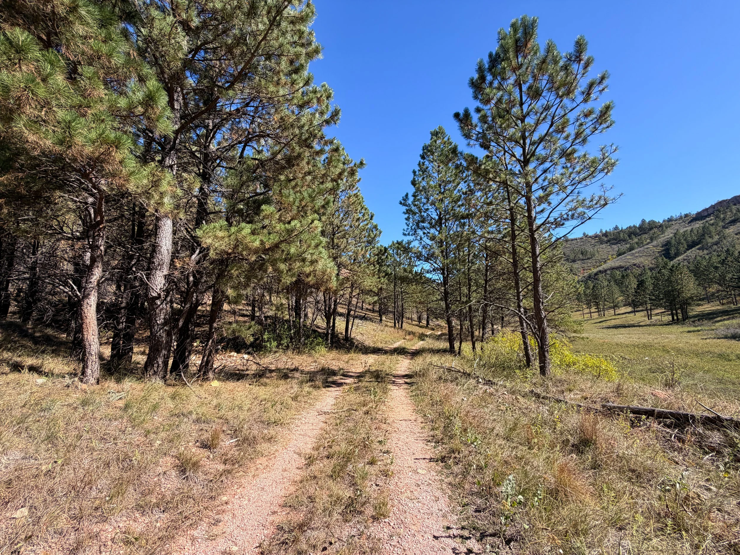 Wind Cave Canyon Trail Wind Cave National Park South Dakota
