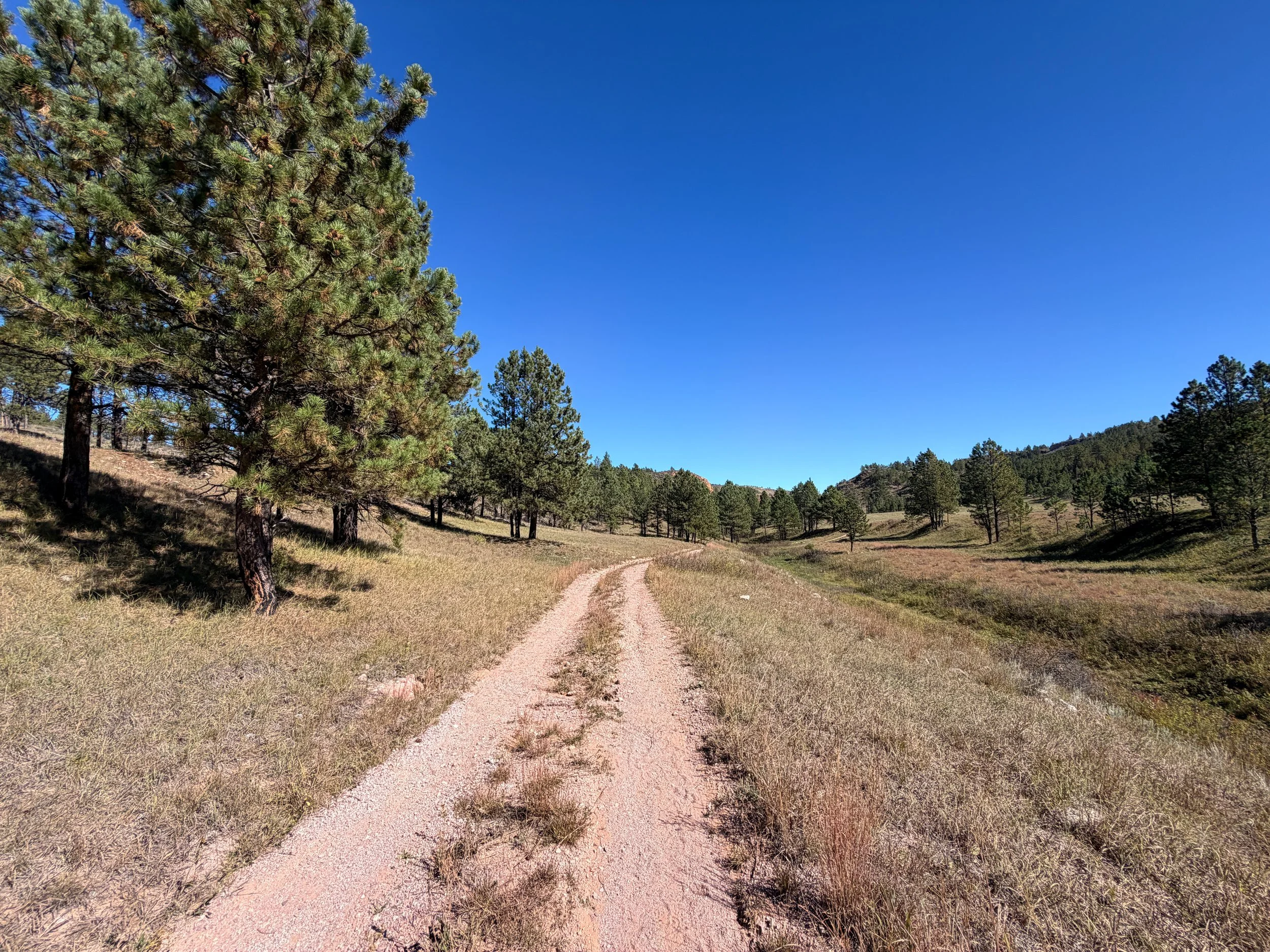 Wind Cave Canyon Trail Wind Cave National Park South Dakota