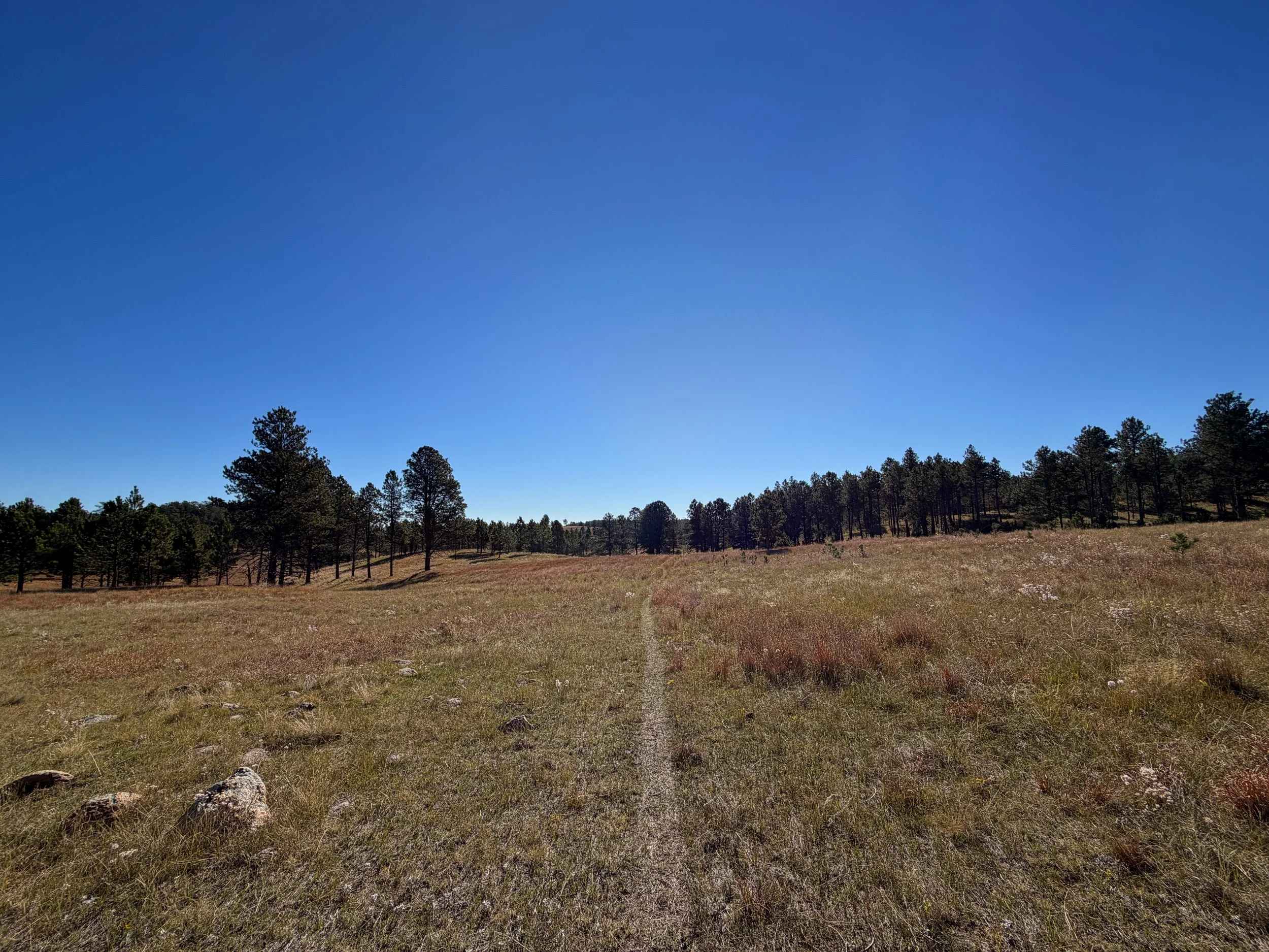 Sanctuary Hike Wind Cave National Park South Dakota