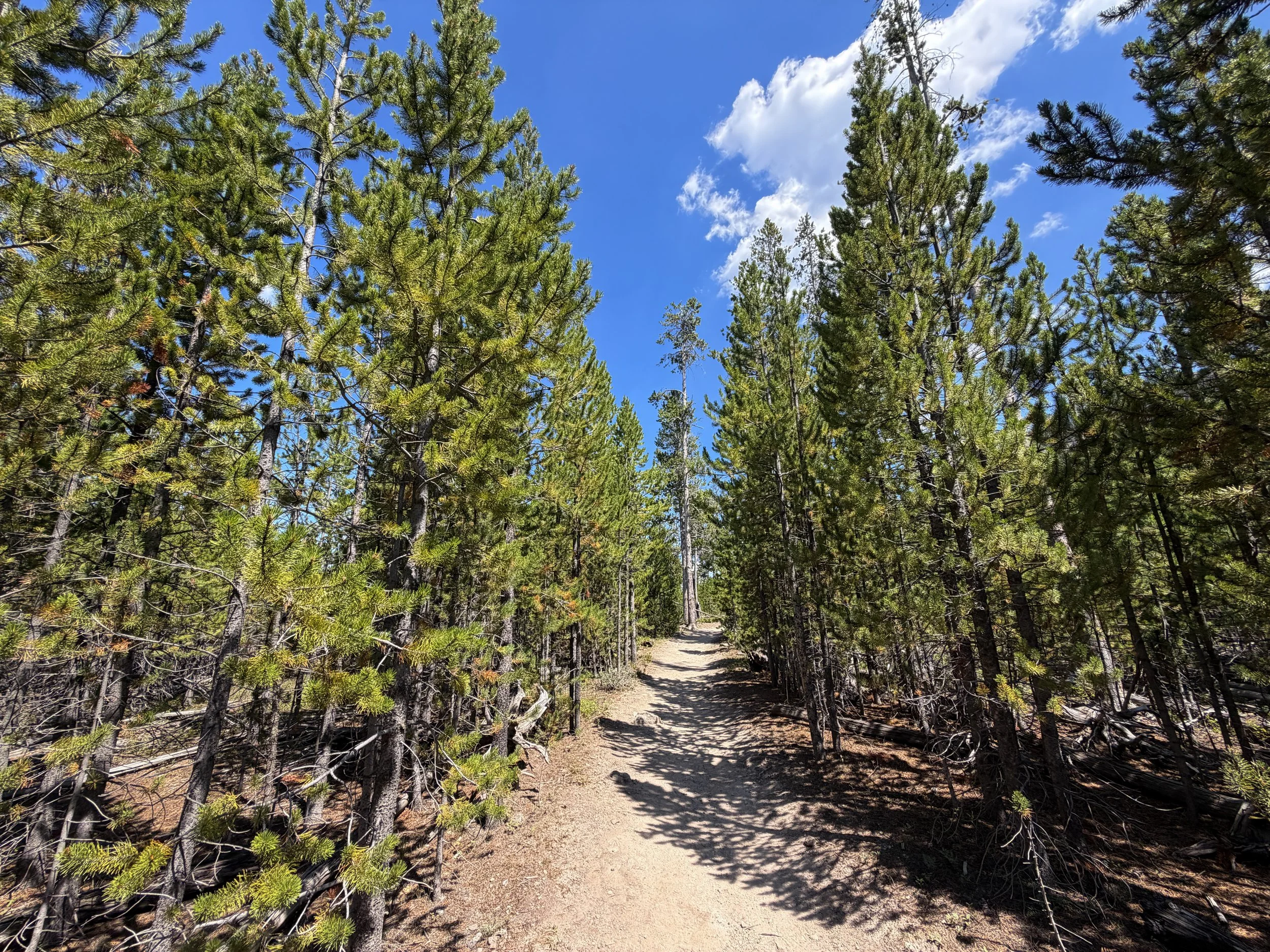 Bunsen Peak Trail Yellowstone National Park Wyoming