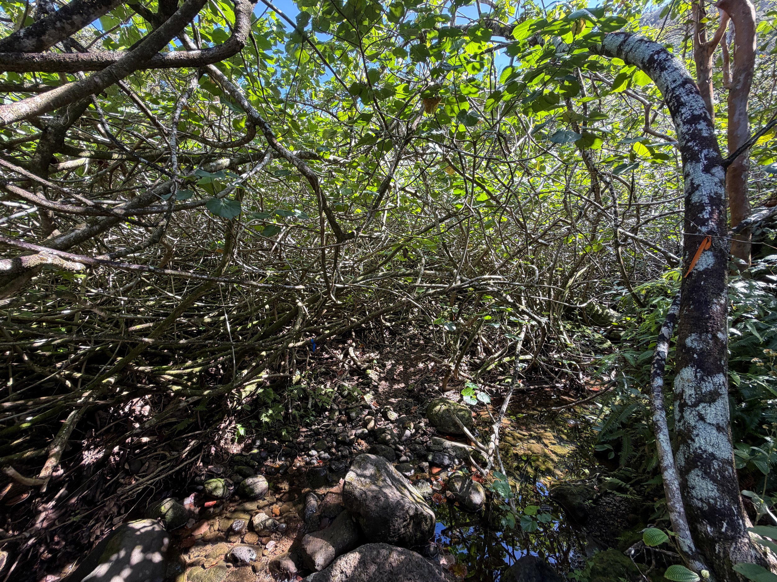 Kulanaahane Hike Oahu Hawaii