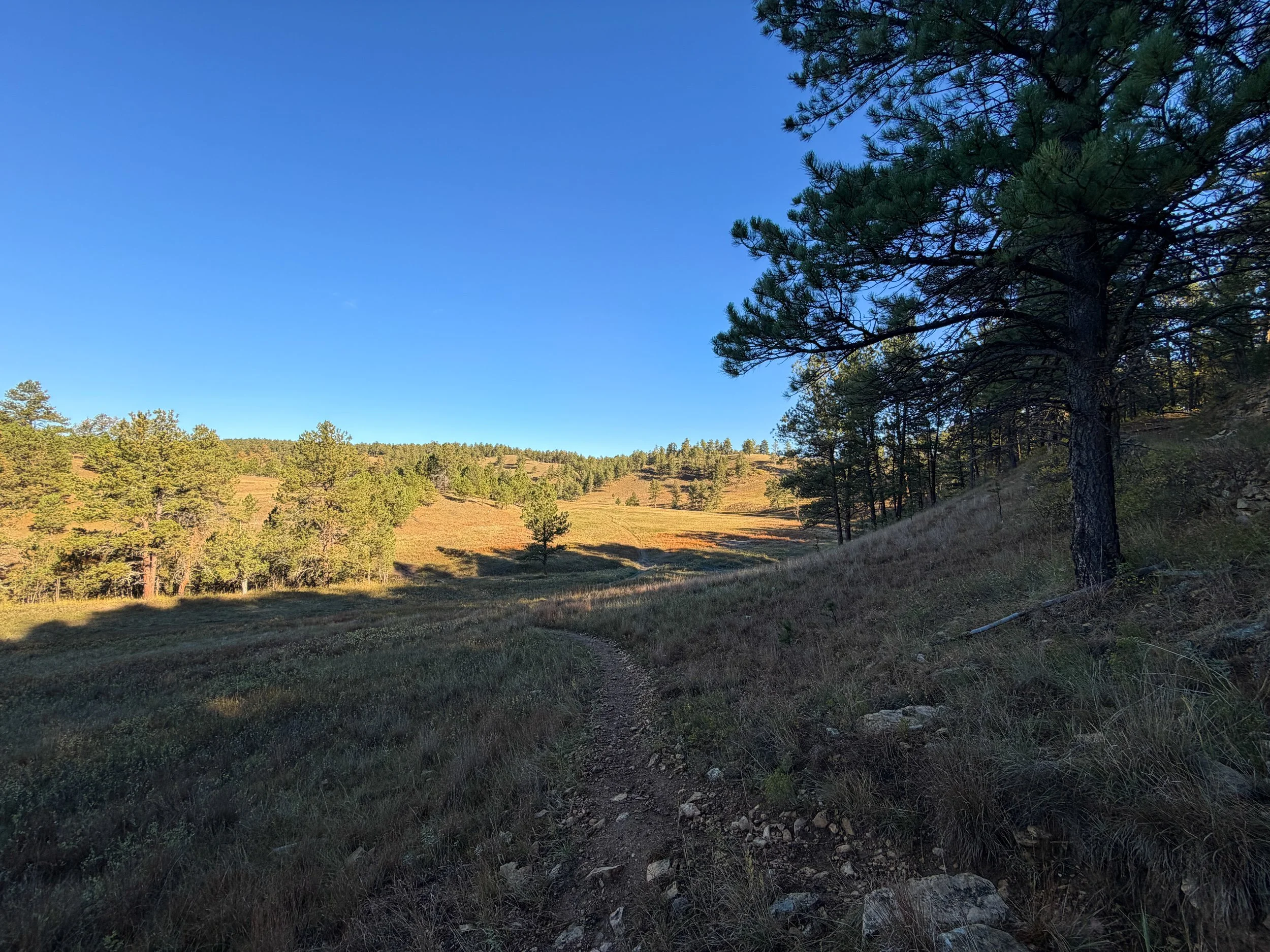 Cold Brook Canyon Trail Wind Cave National Park South Dakota
