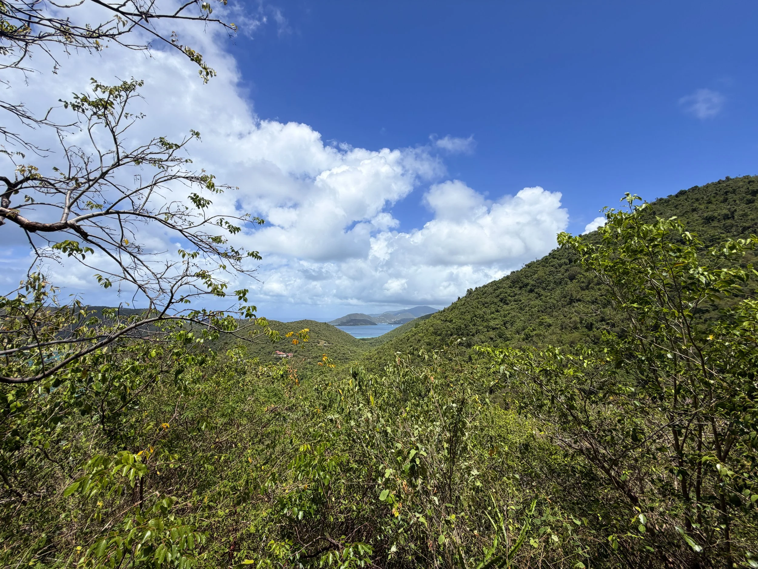Maria Hope Trail Overlook Virgin Islands National Park