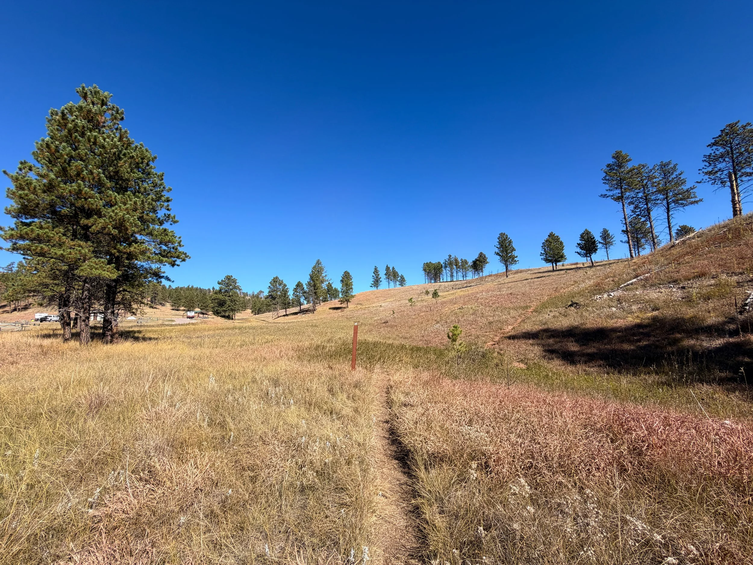 Elk Mountain Nature Trail Wind Cave National Park South Dakota