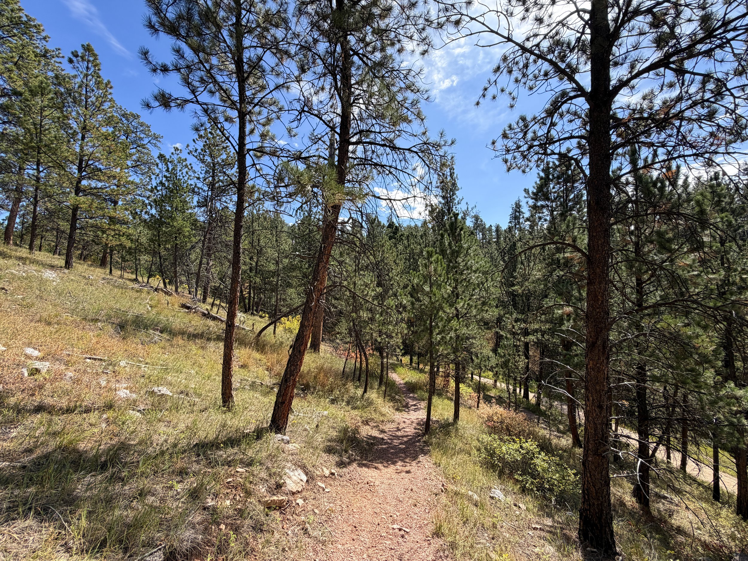 Canyons Trail Switchbacks Jewel Cave National Monument Black Hills South Dakota