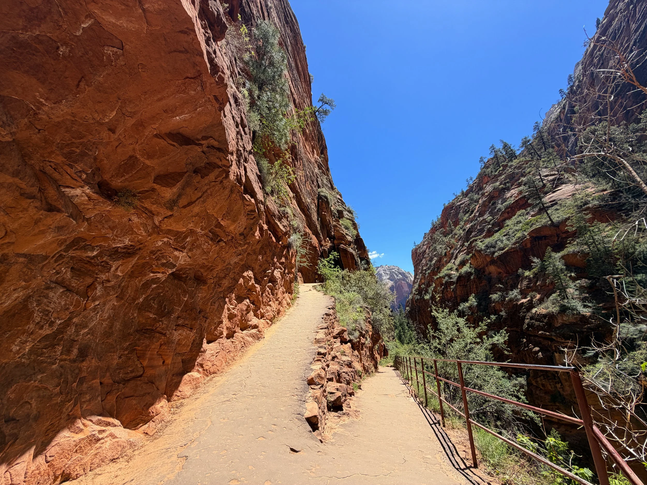 Angels Landing Hike Switchbacks Zion National Park Utah