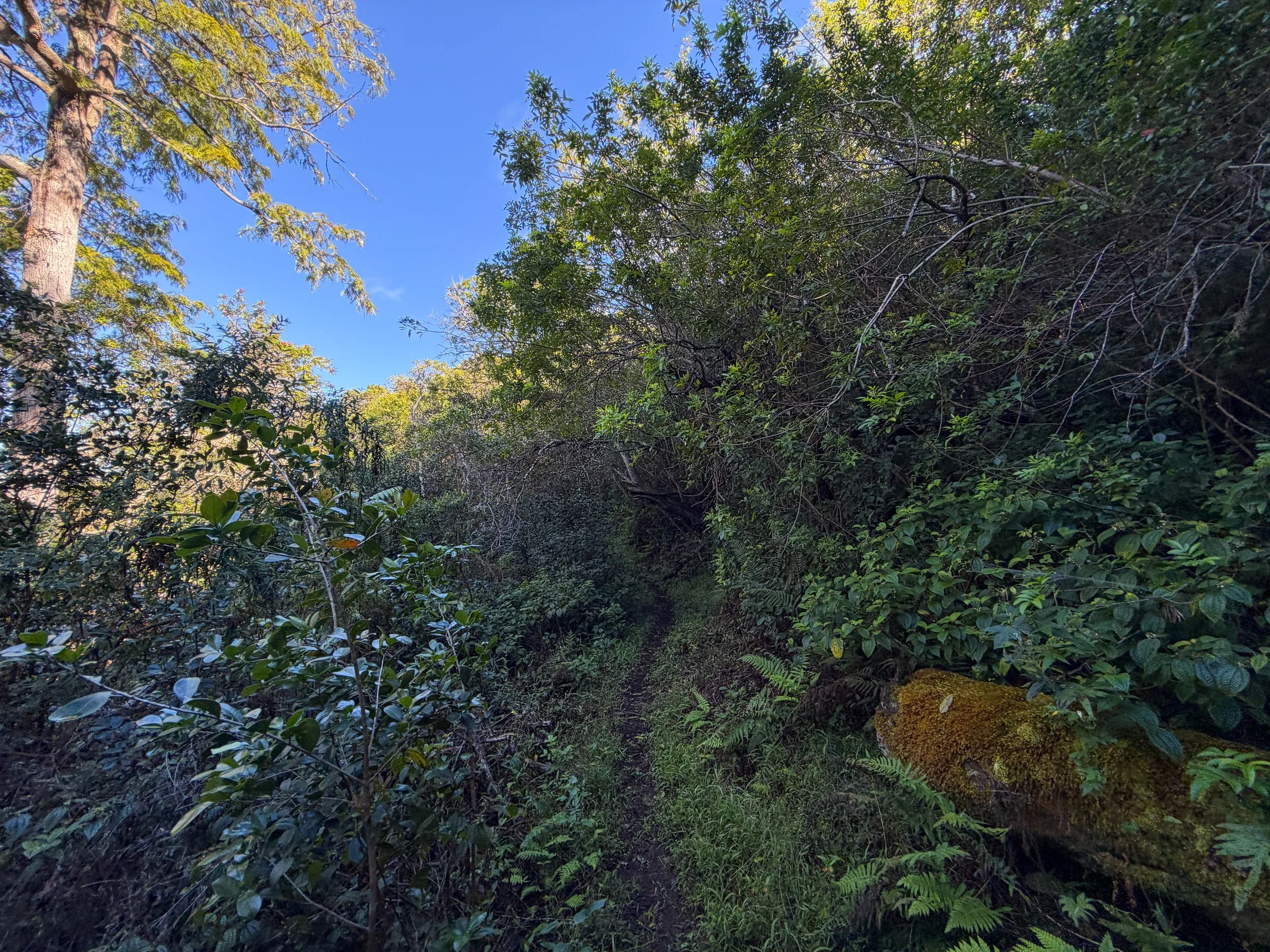 Mokuleia Trail Oahu Hawaii