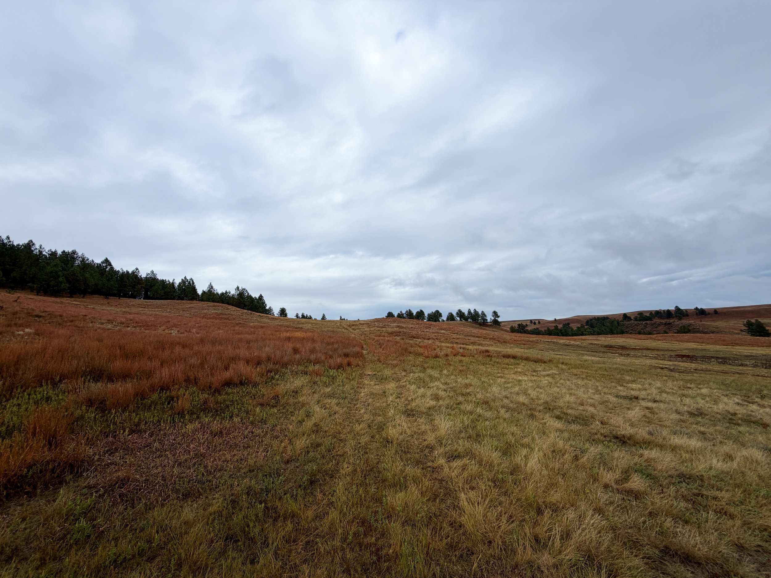 Highland Creek Trail to Wind Cave Canyon Wind Cave National Park South Dakota
